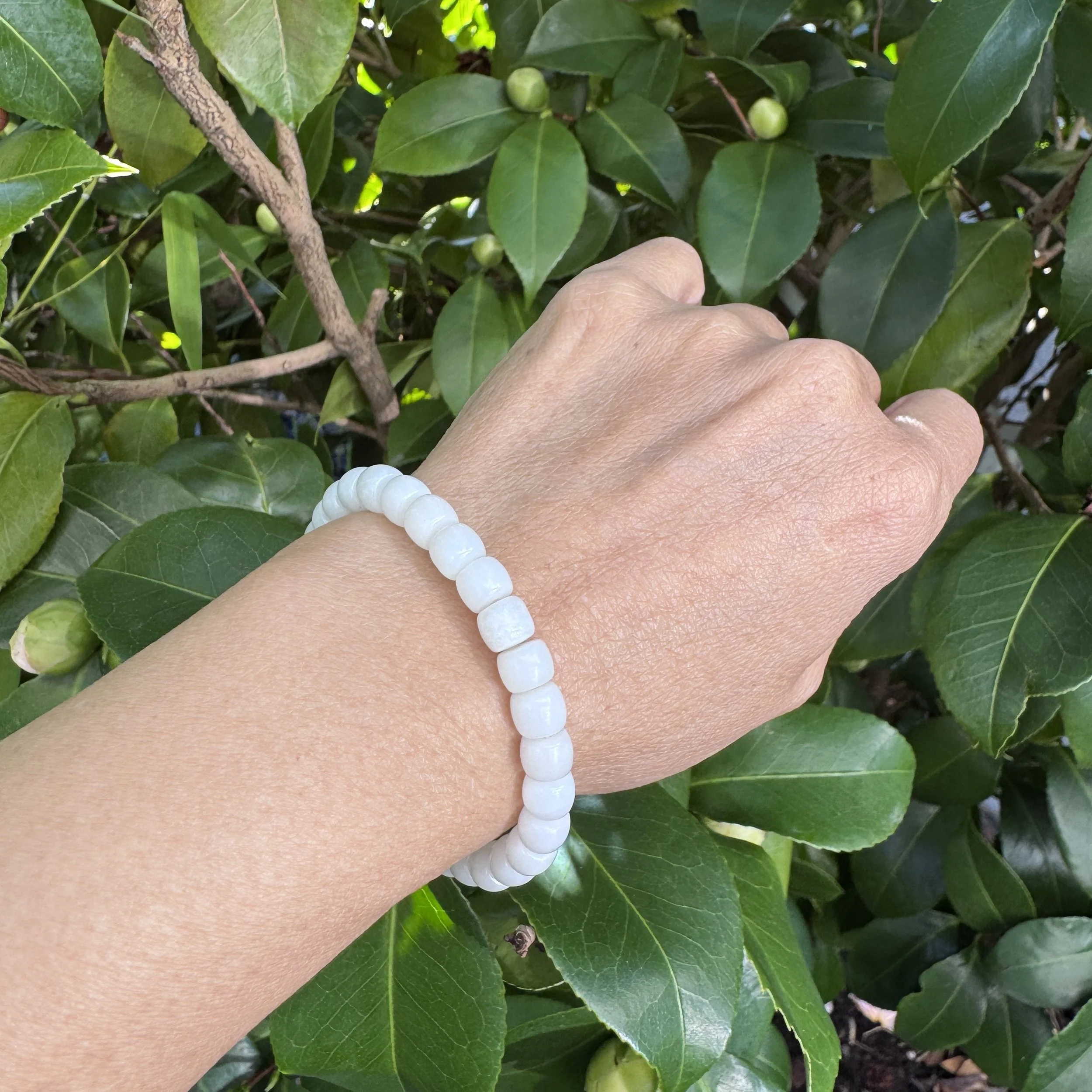 jademastervancouver.com