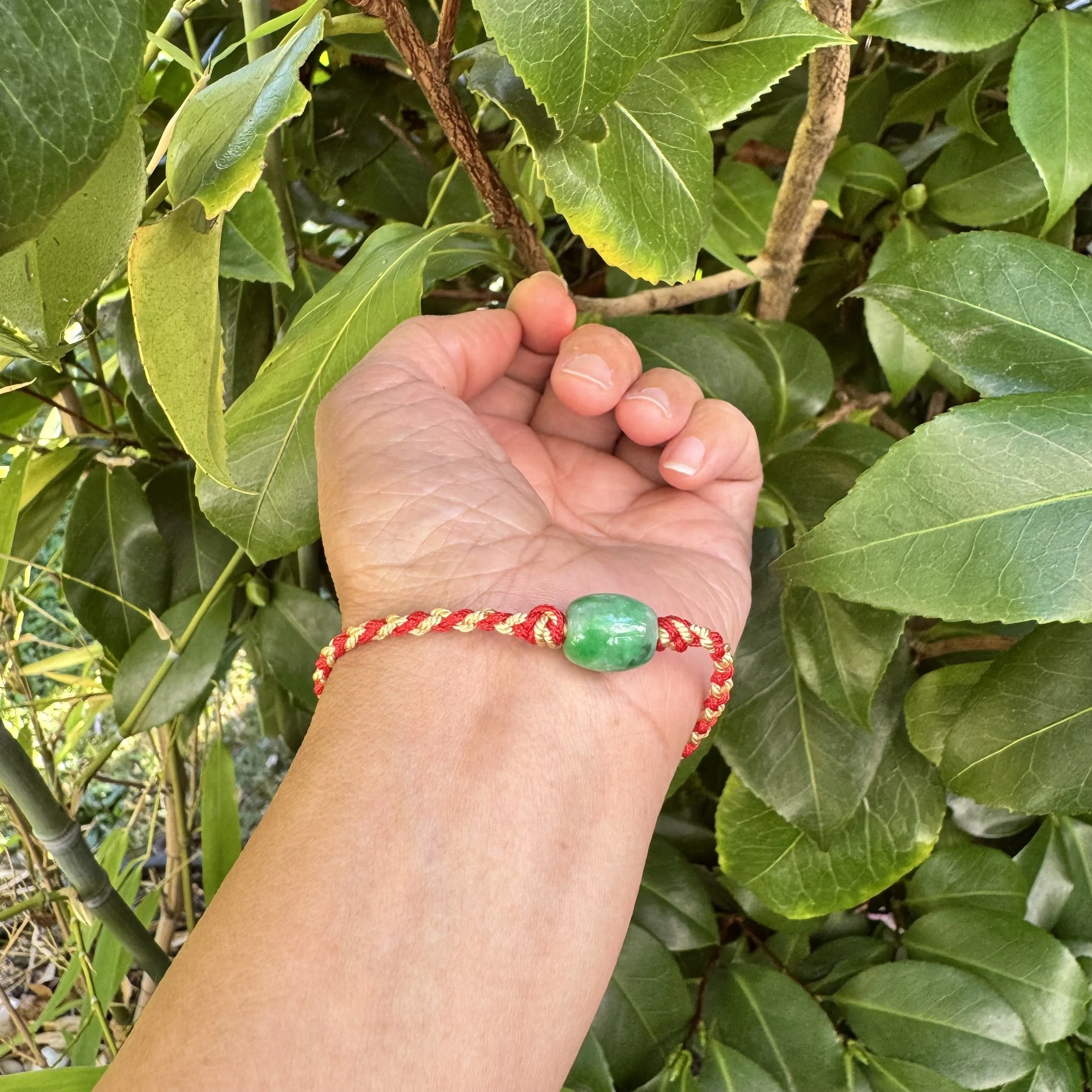 jademastervancouver.com
