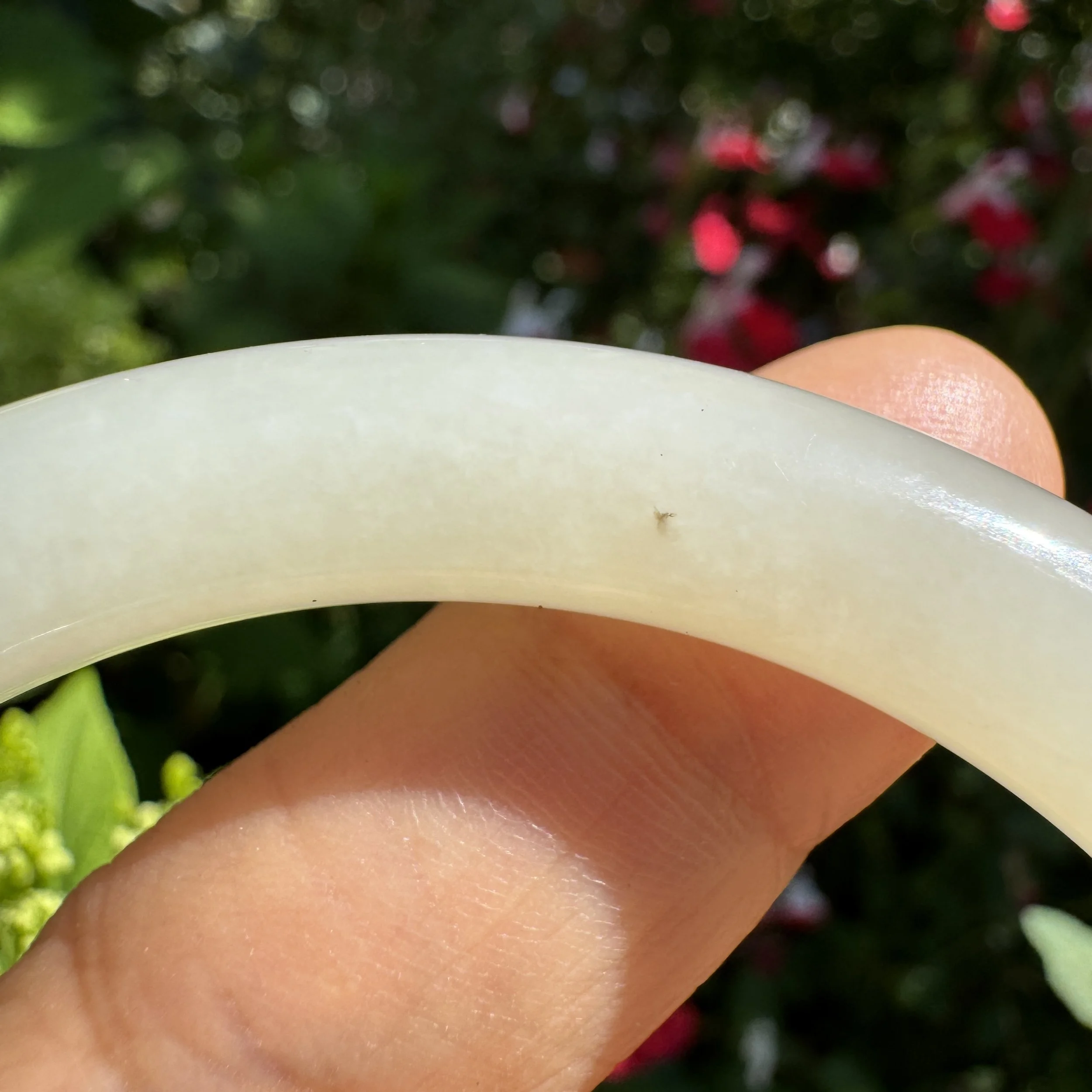 Xinjiang Hetian jade-jademastervancouver.com