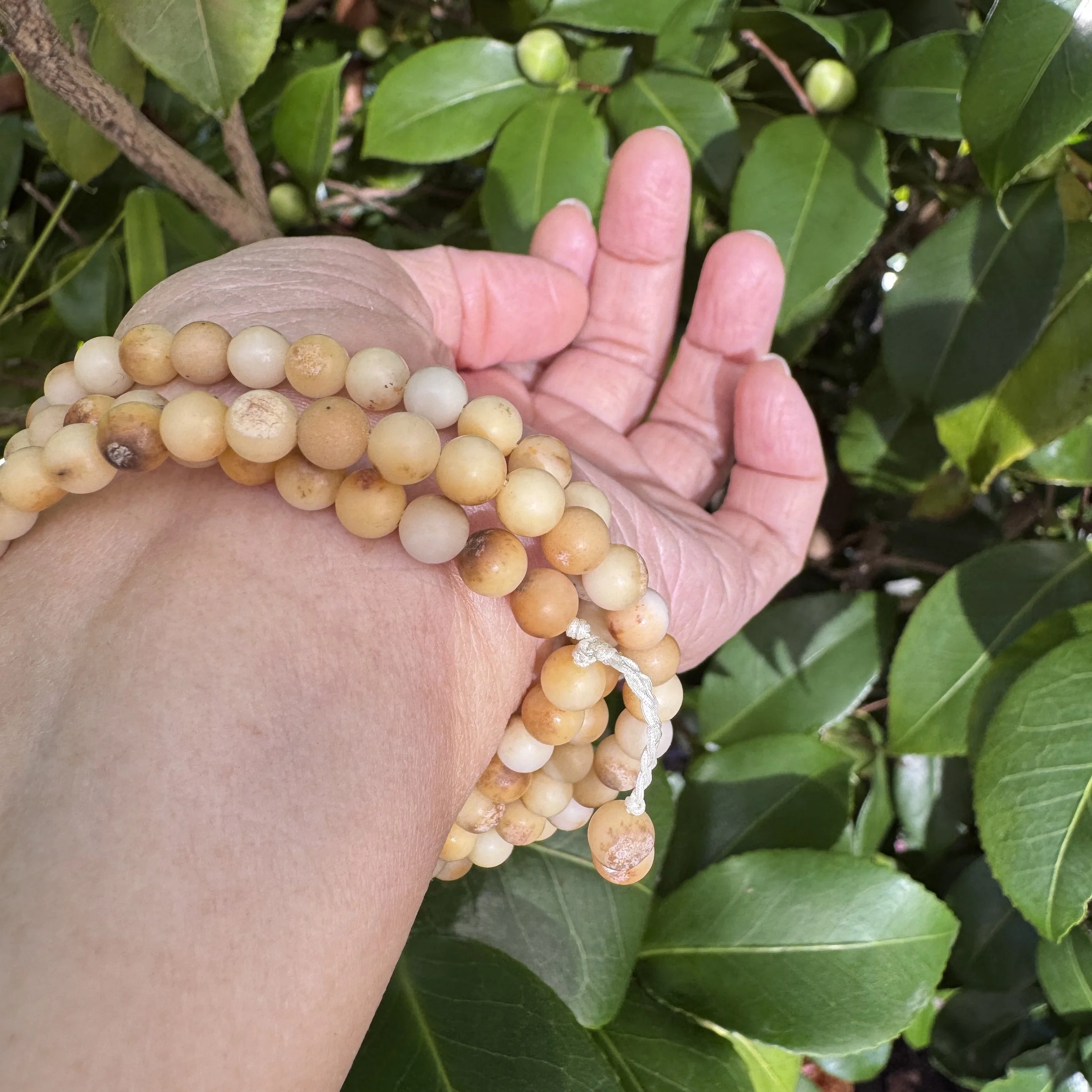 jademastervancouver.com