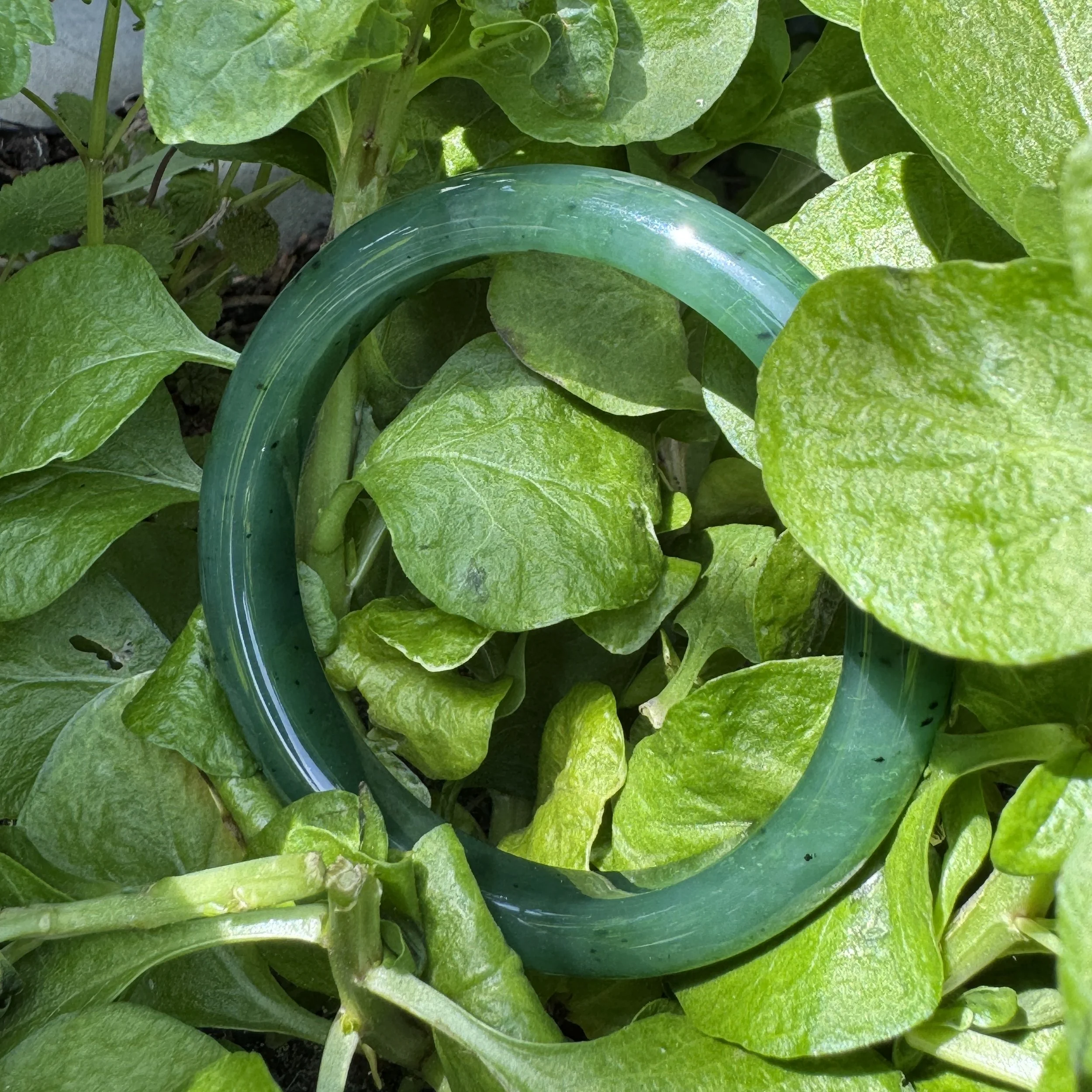 jademastervancouver.com