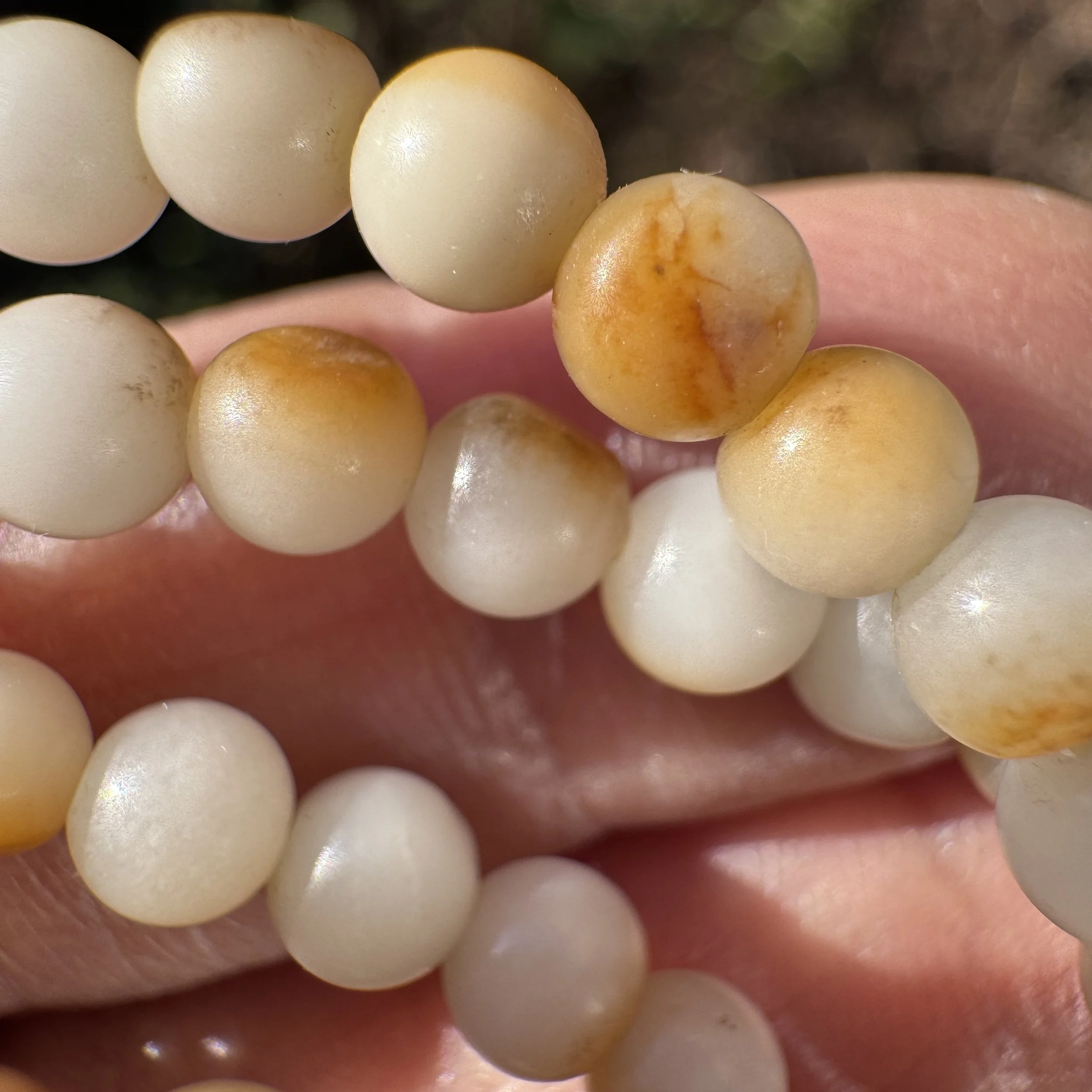 jademastervancouver.com