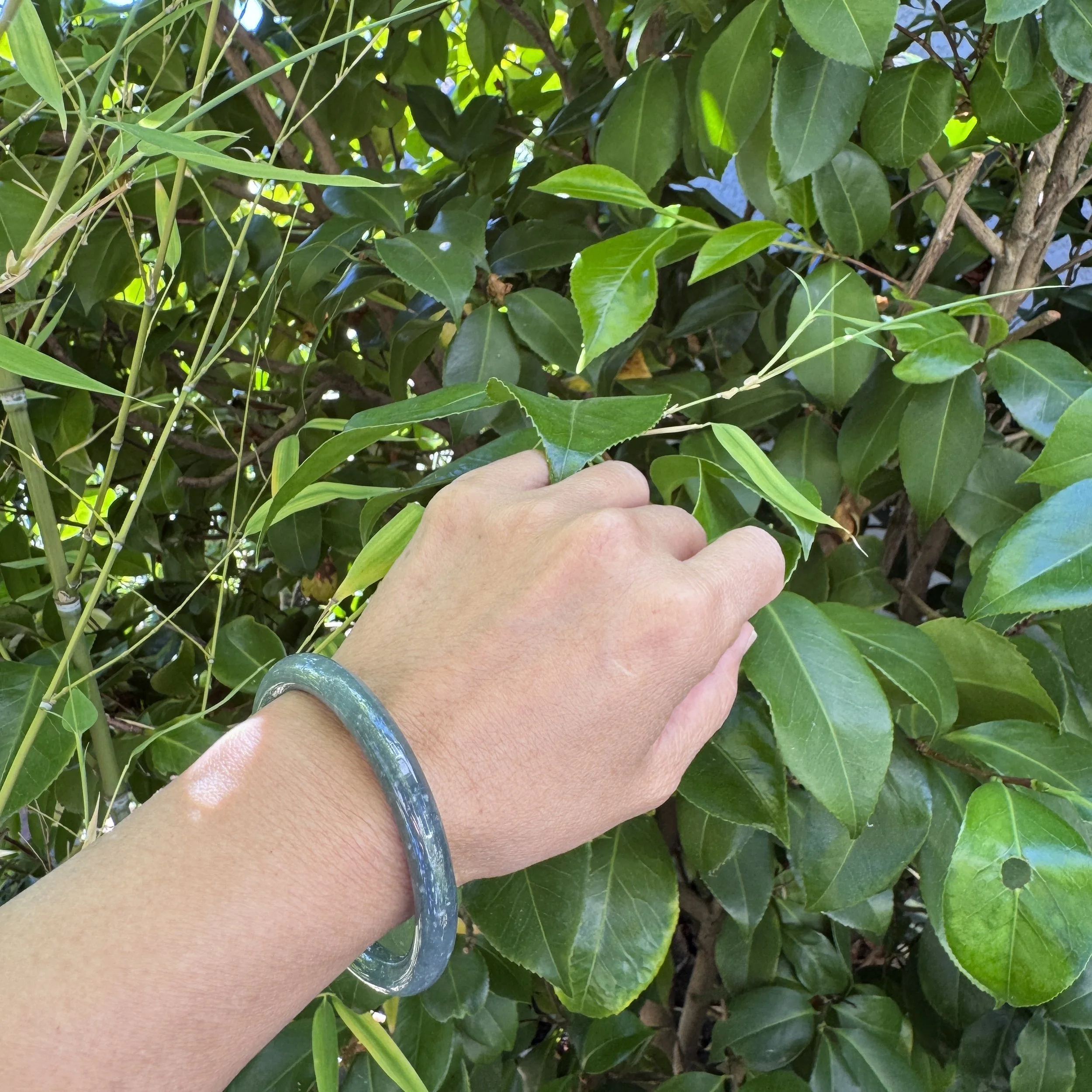 Blue jade bangle-jademastervancouver.com
