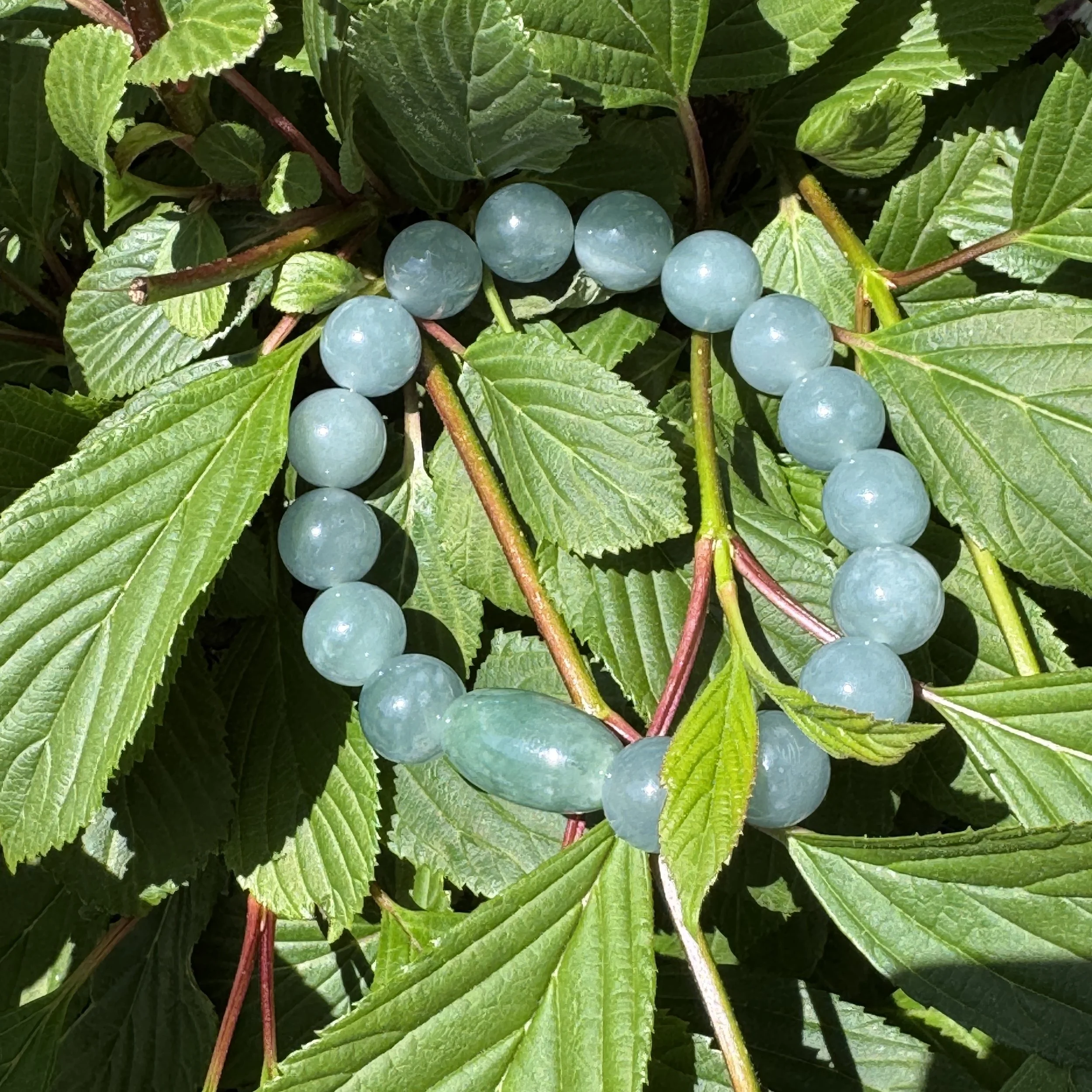 jademastervancouver.com