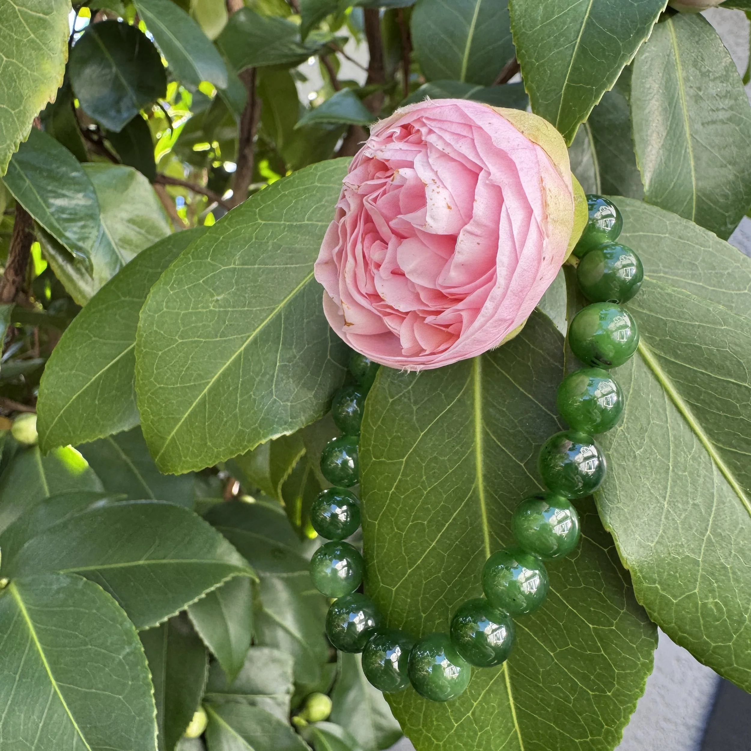 jademastervancouver.com