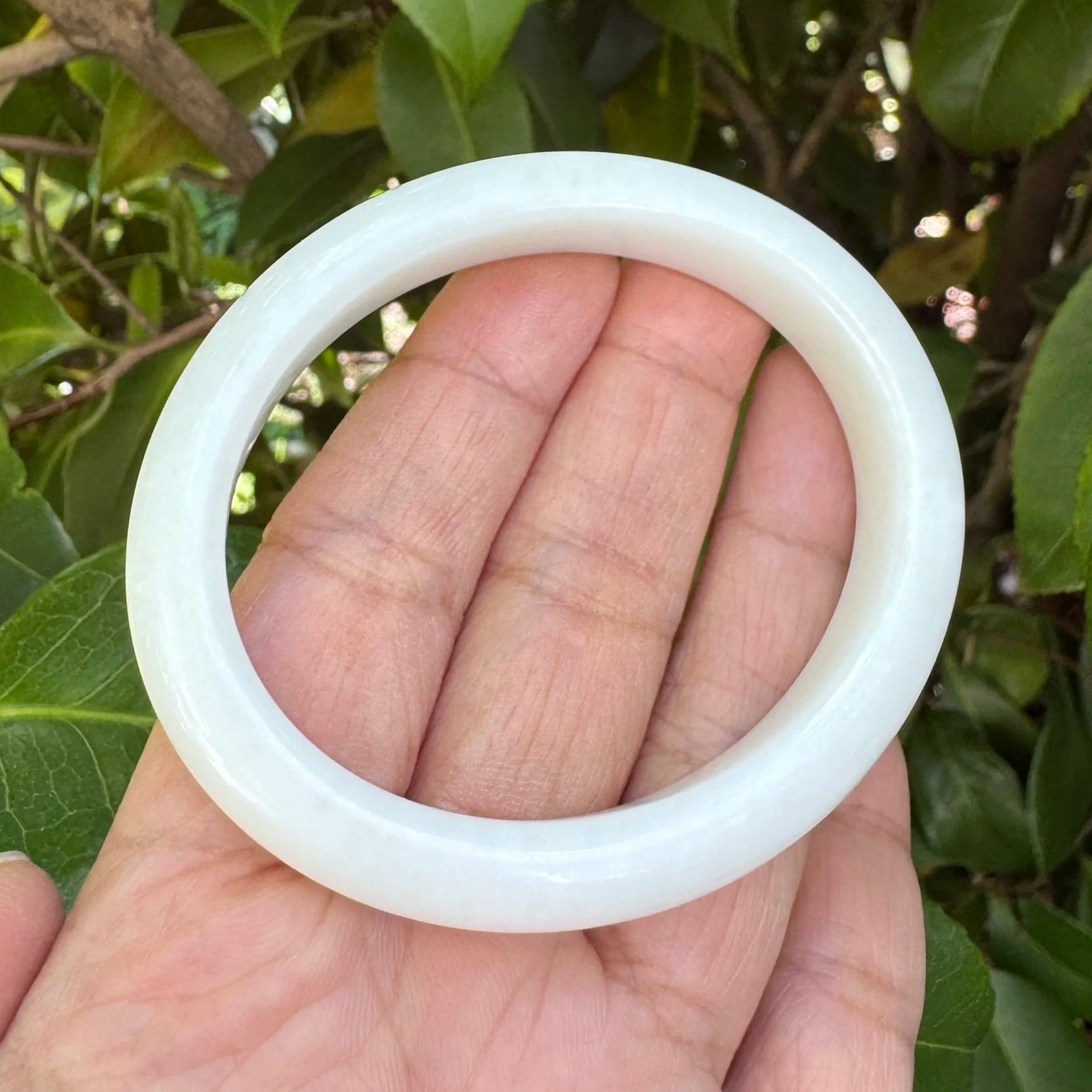 jademastervancouver.com