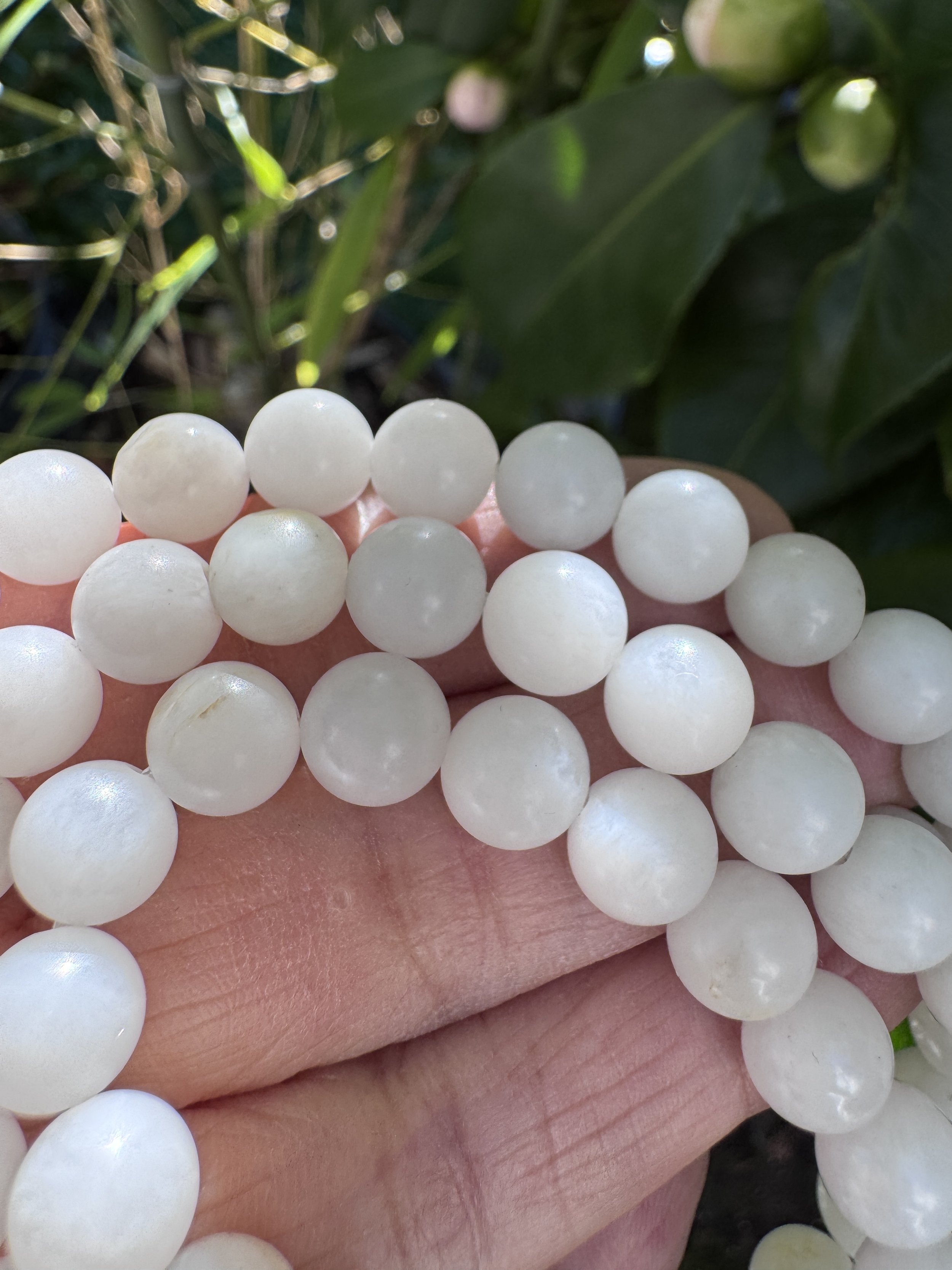 jademastervancouver.com