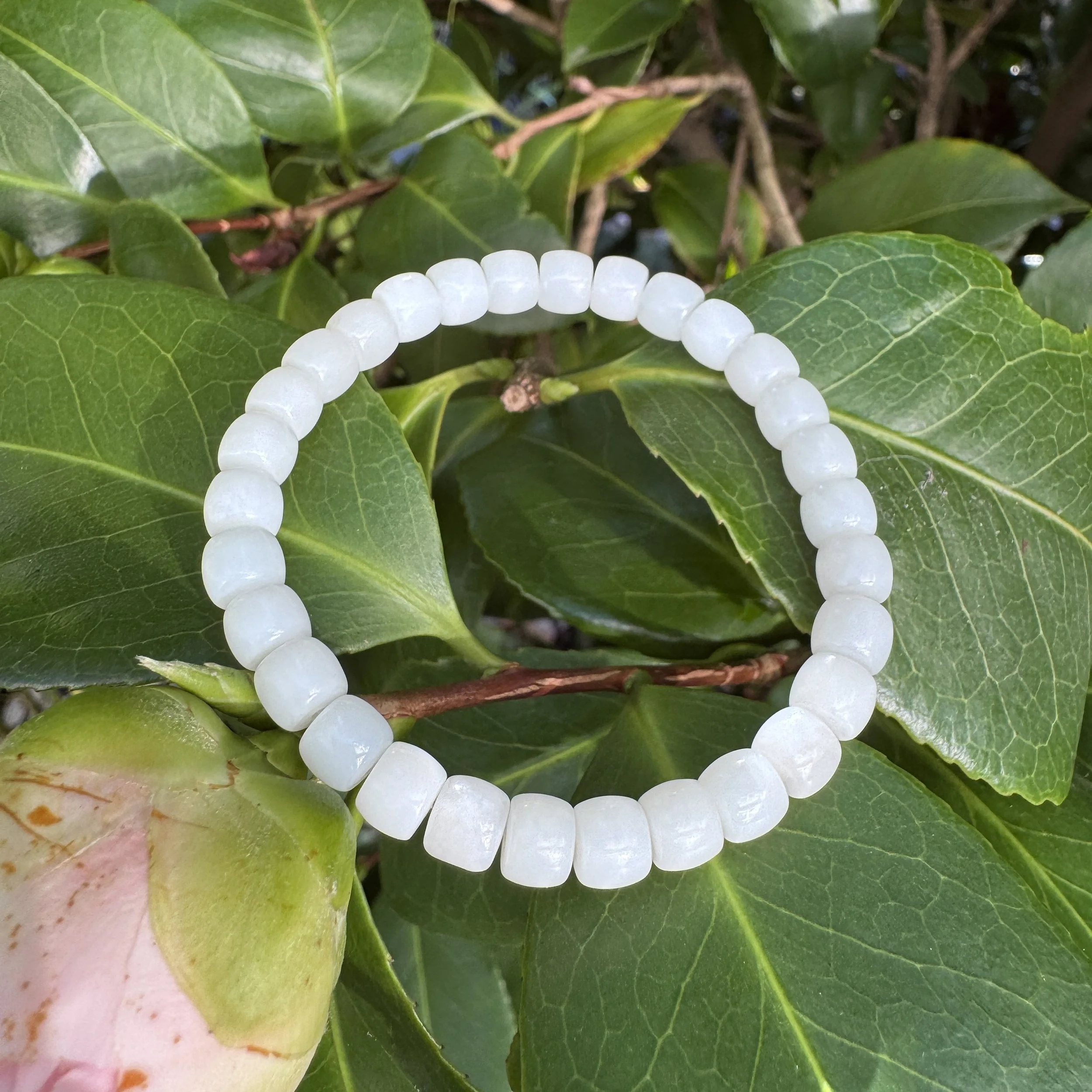 jademastervancouver.com