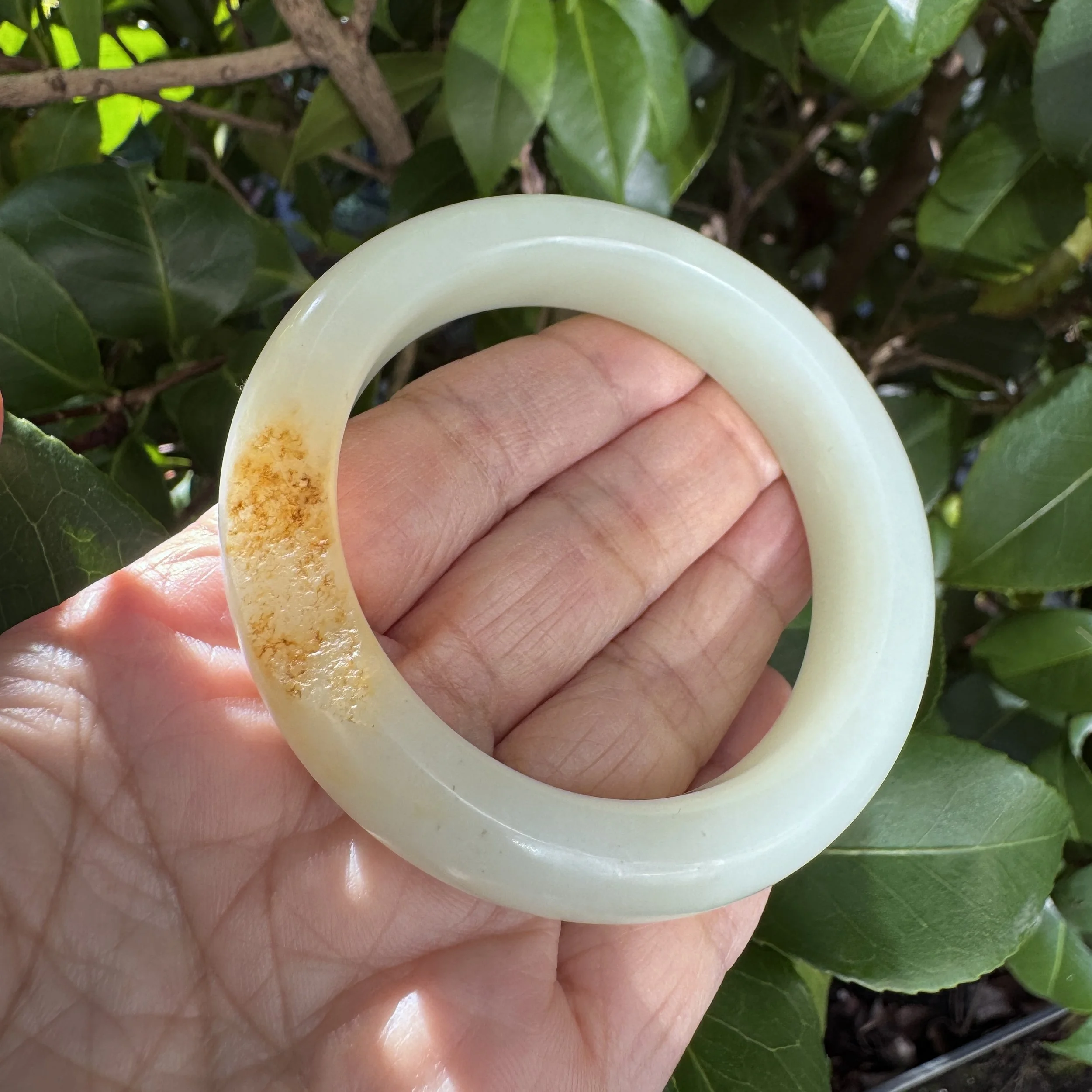 jademastervancouver.com