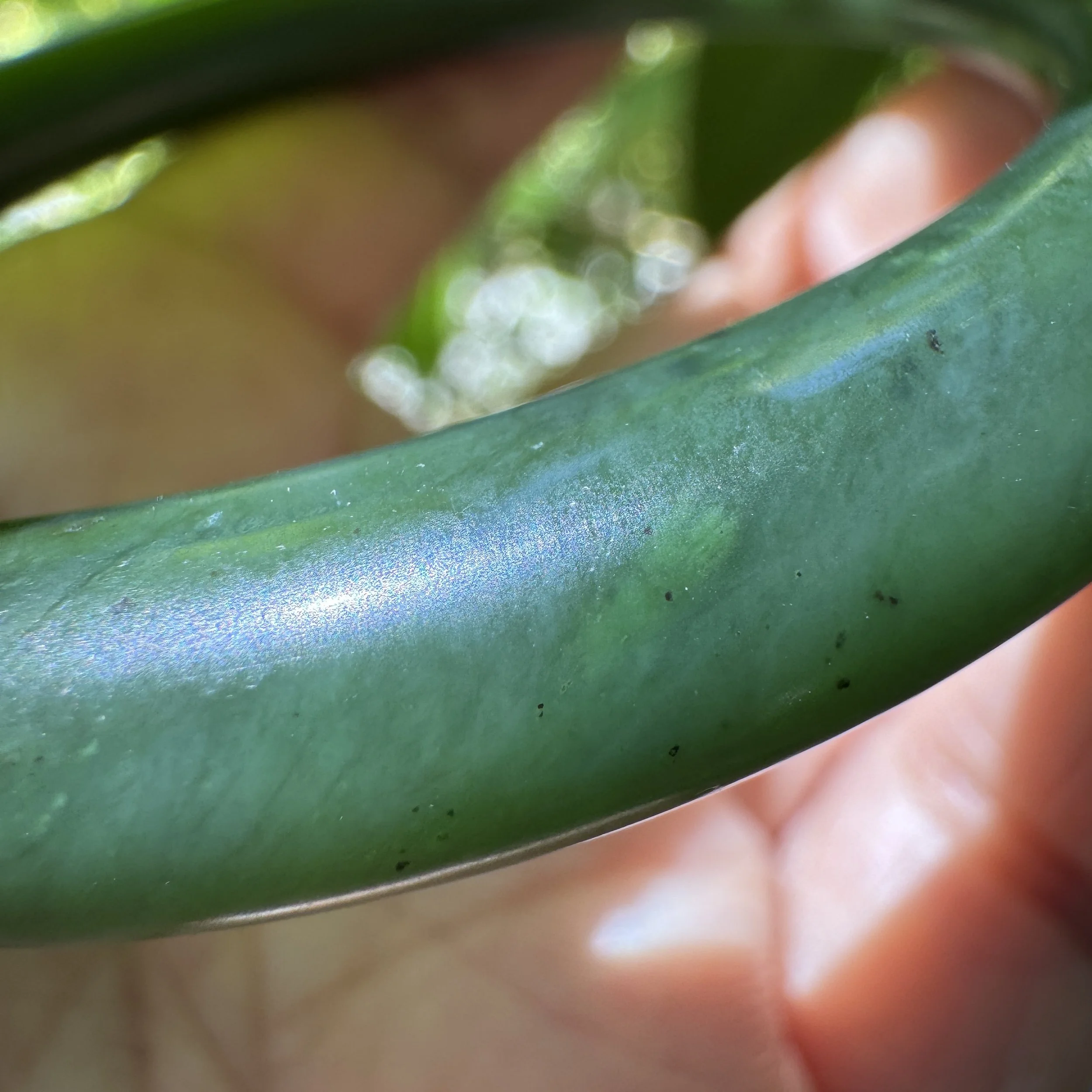 Canadian jade-jademastervancouver.com