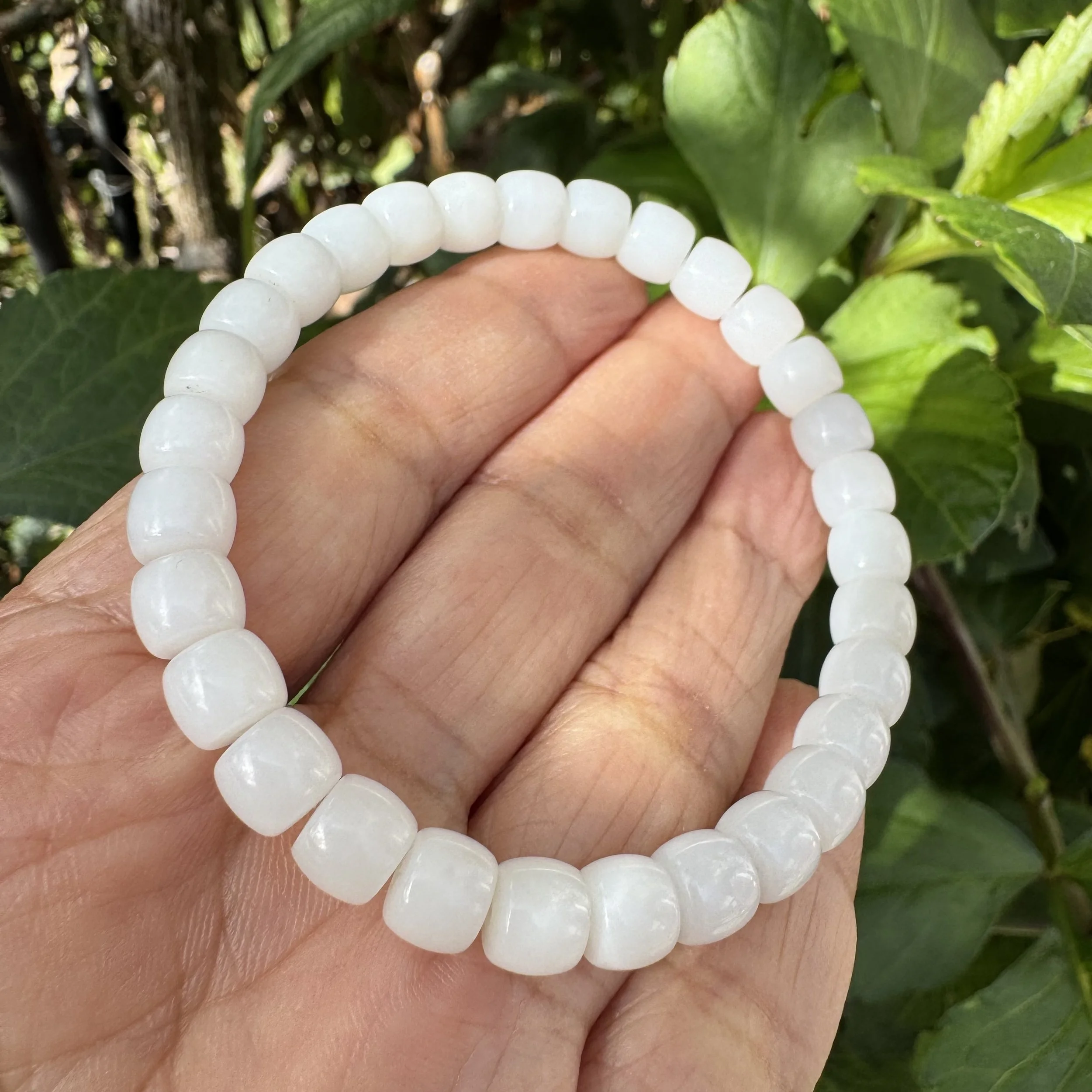 jademastervancouver.com