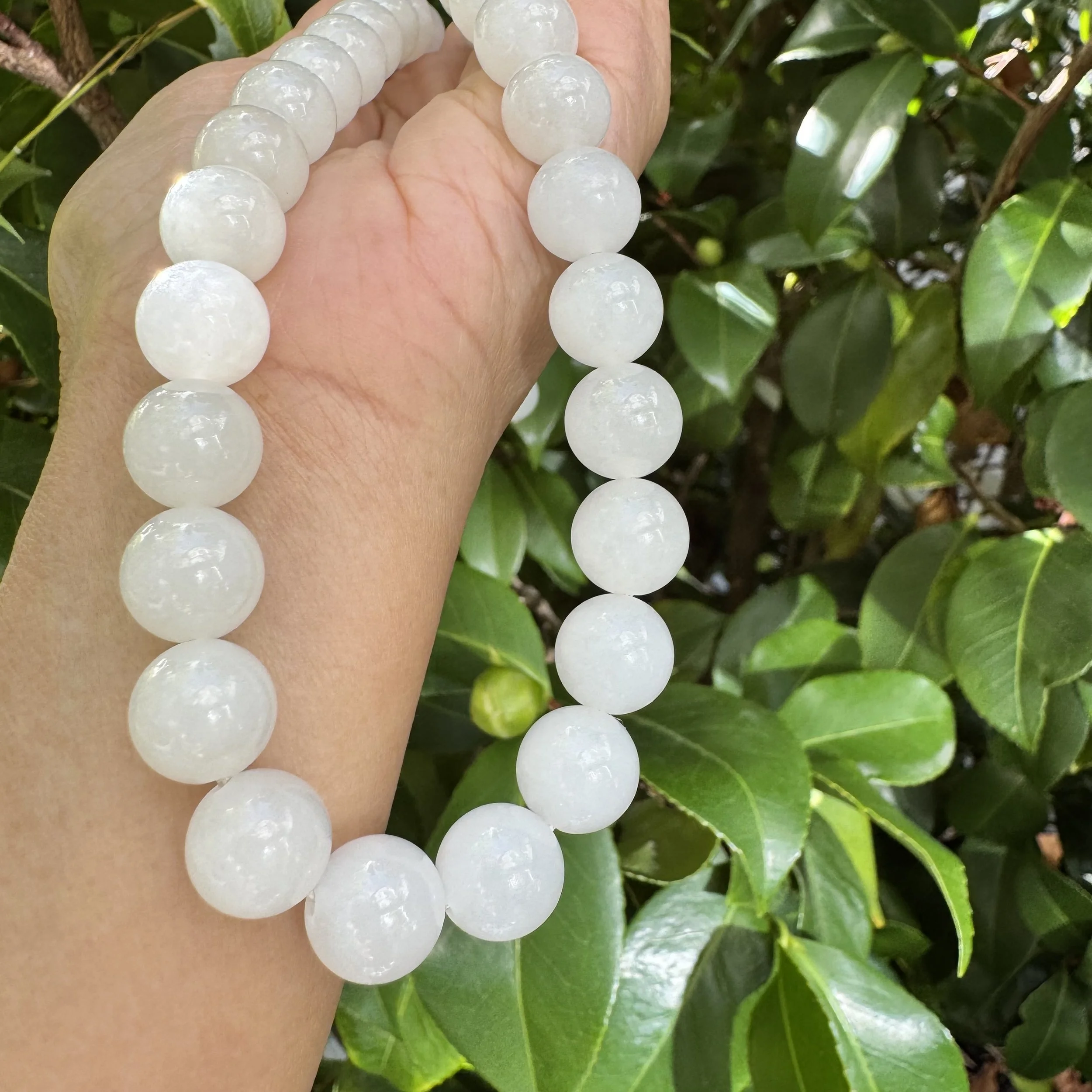 jademastervancouver.com