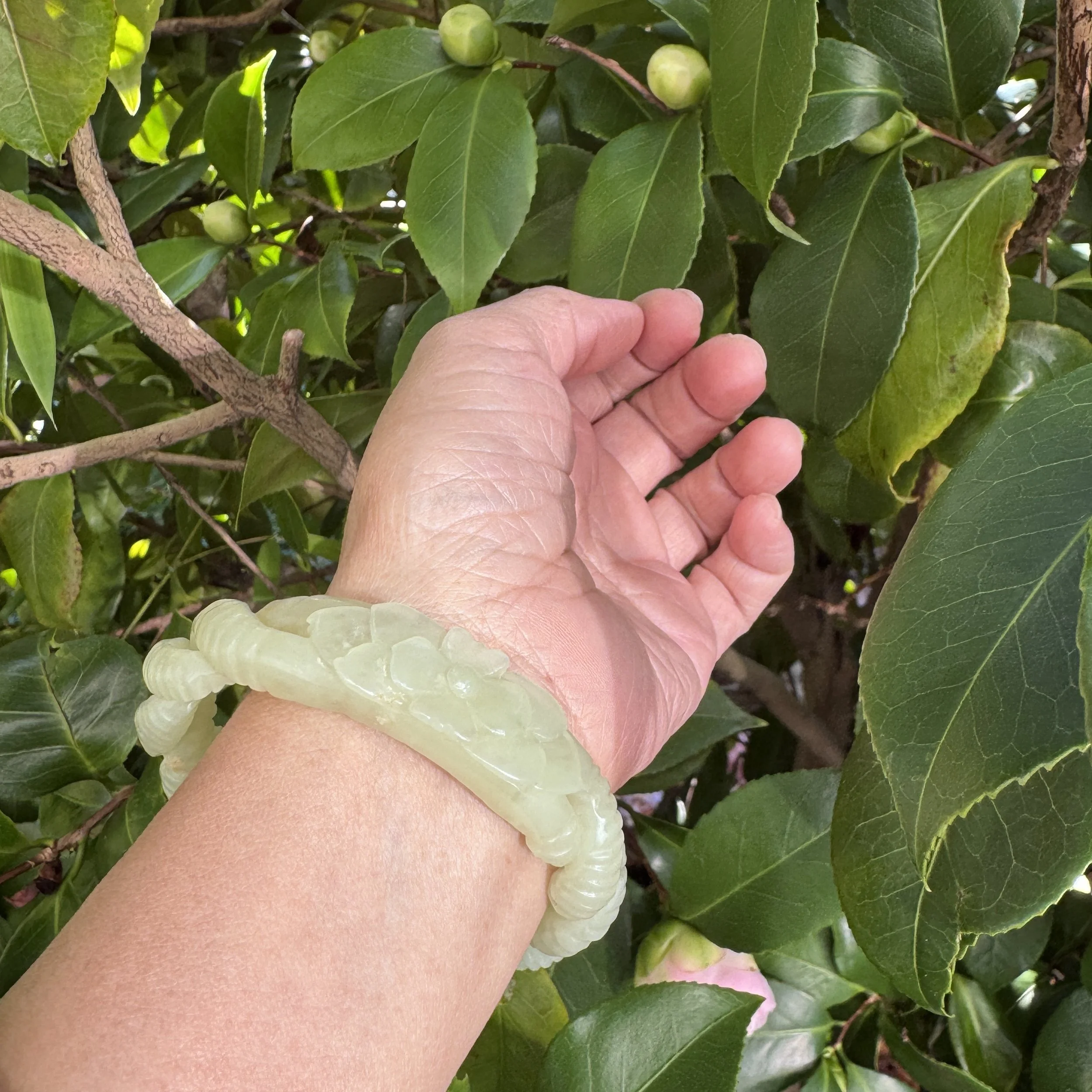 jademastervancouver.com