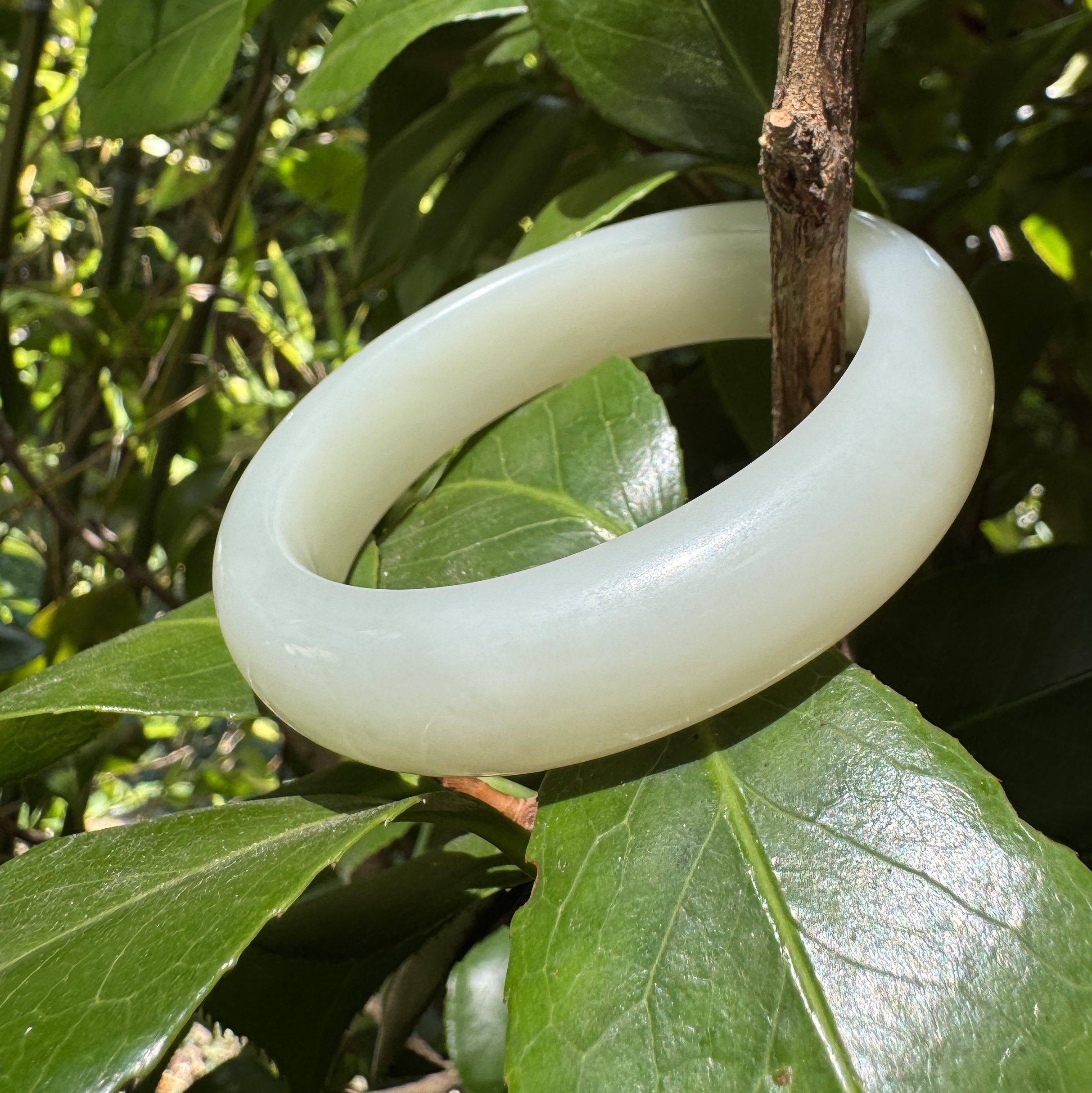 55.5mm White Jade bangle