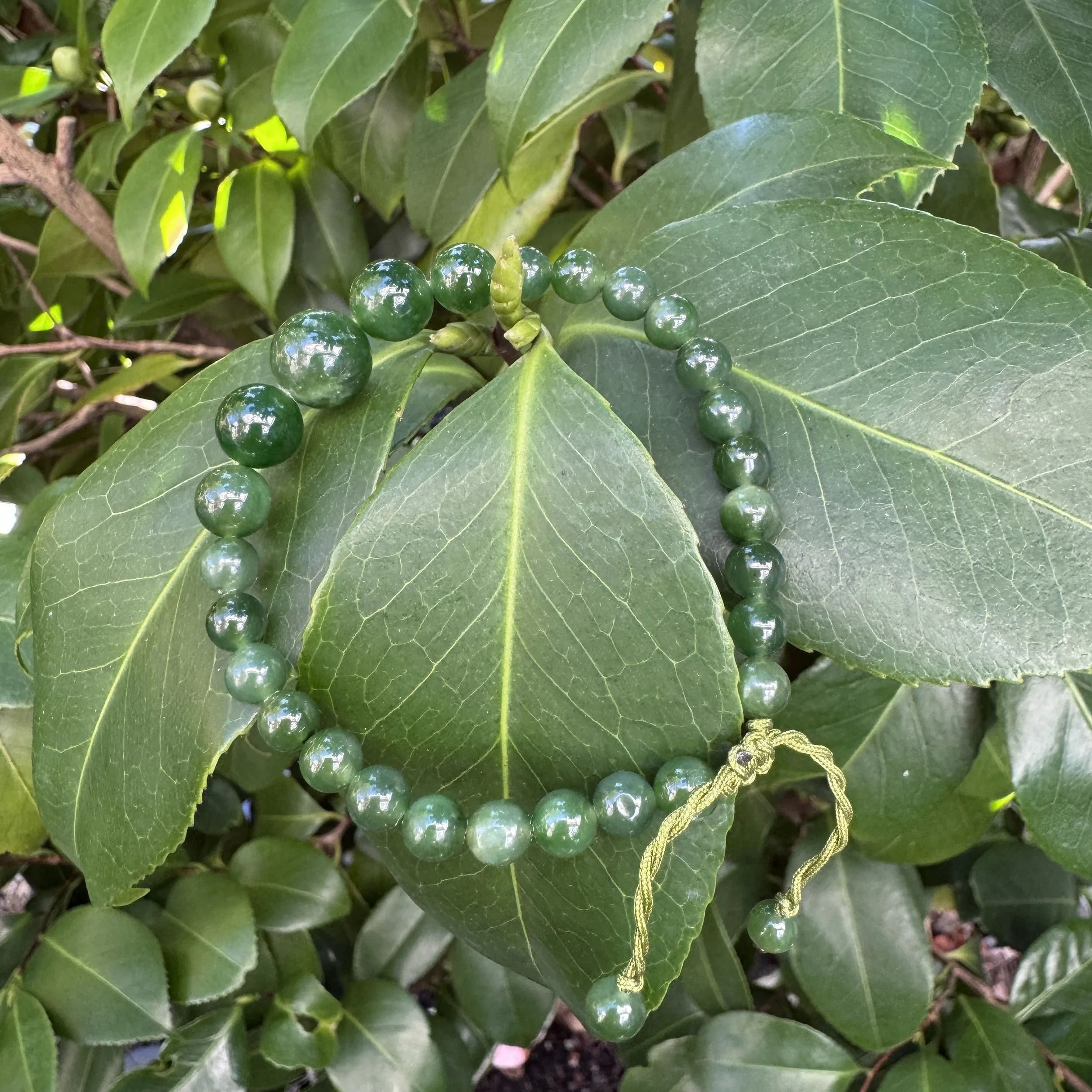 jademastervancouver.com