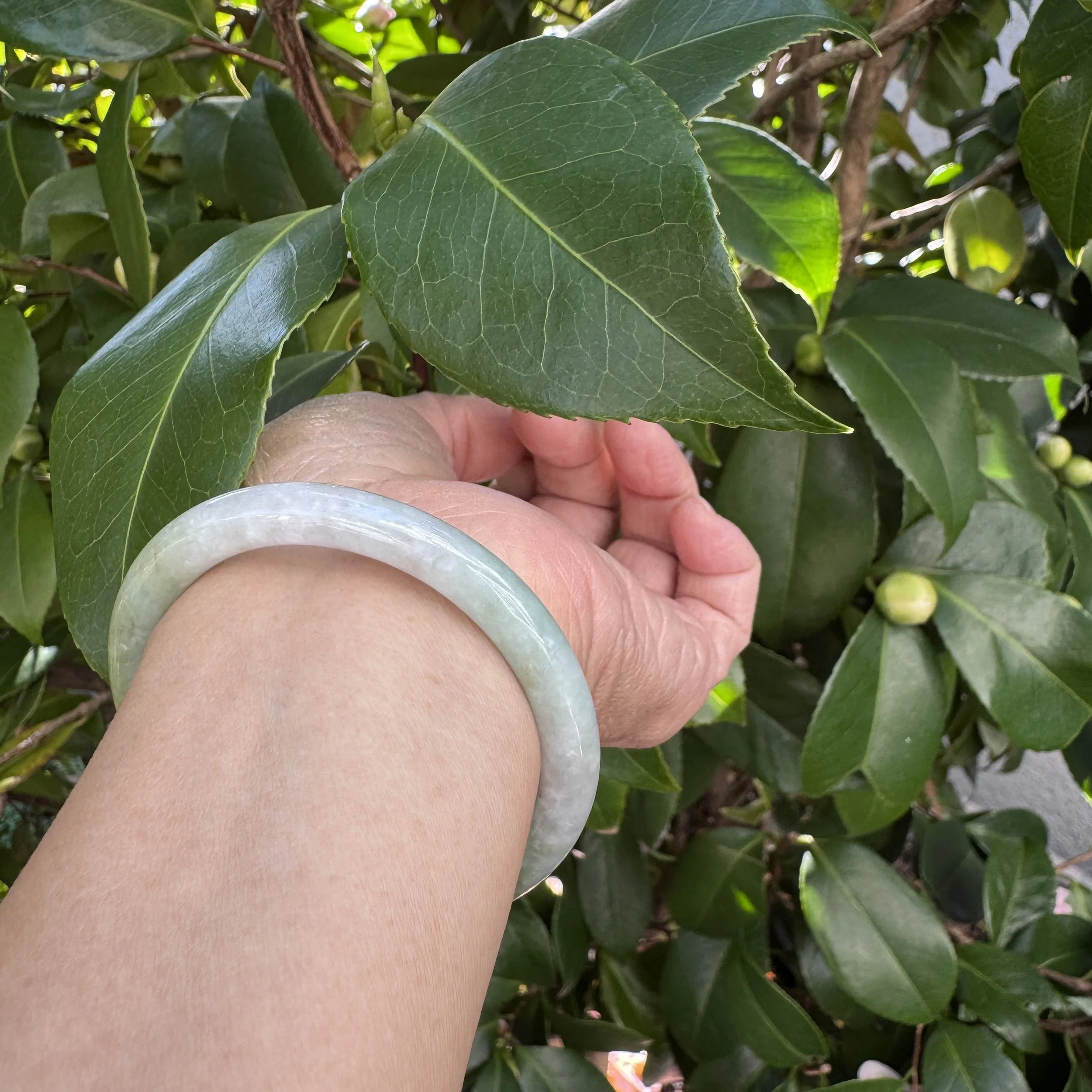 jademastervancouver.com