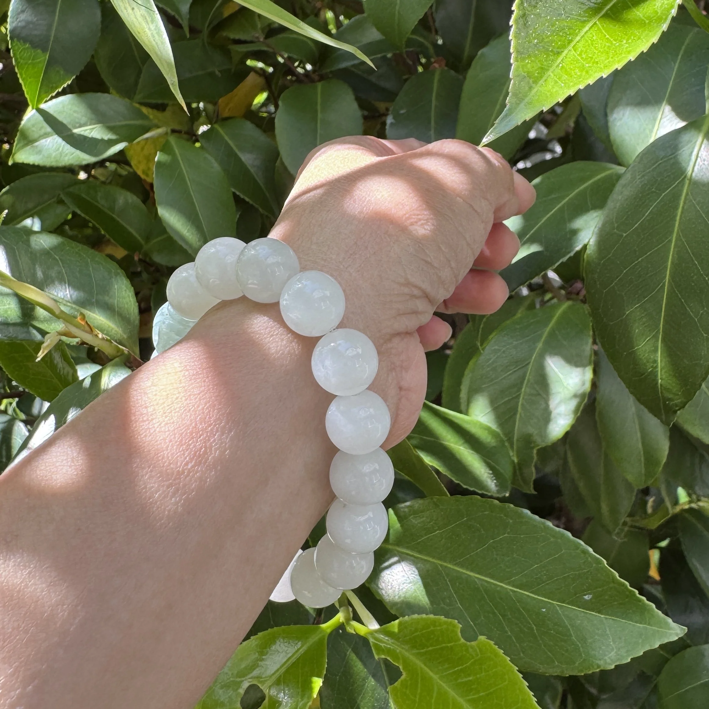 mutton white fat jade