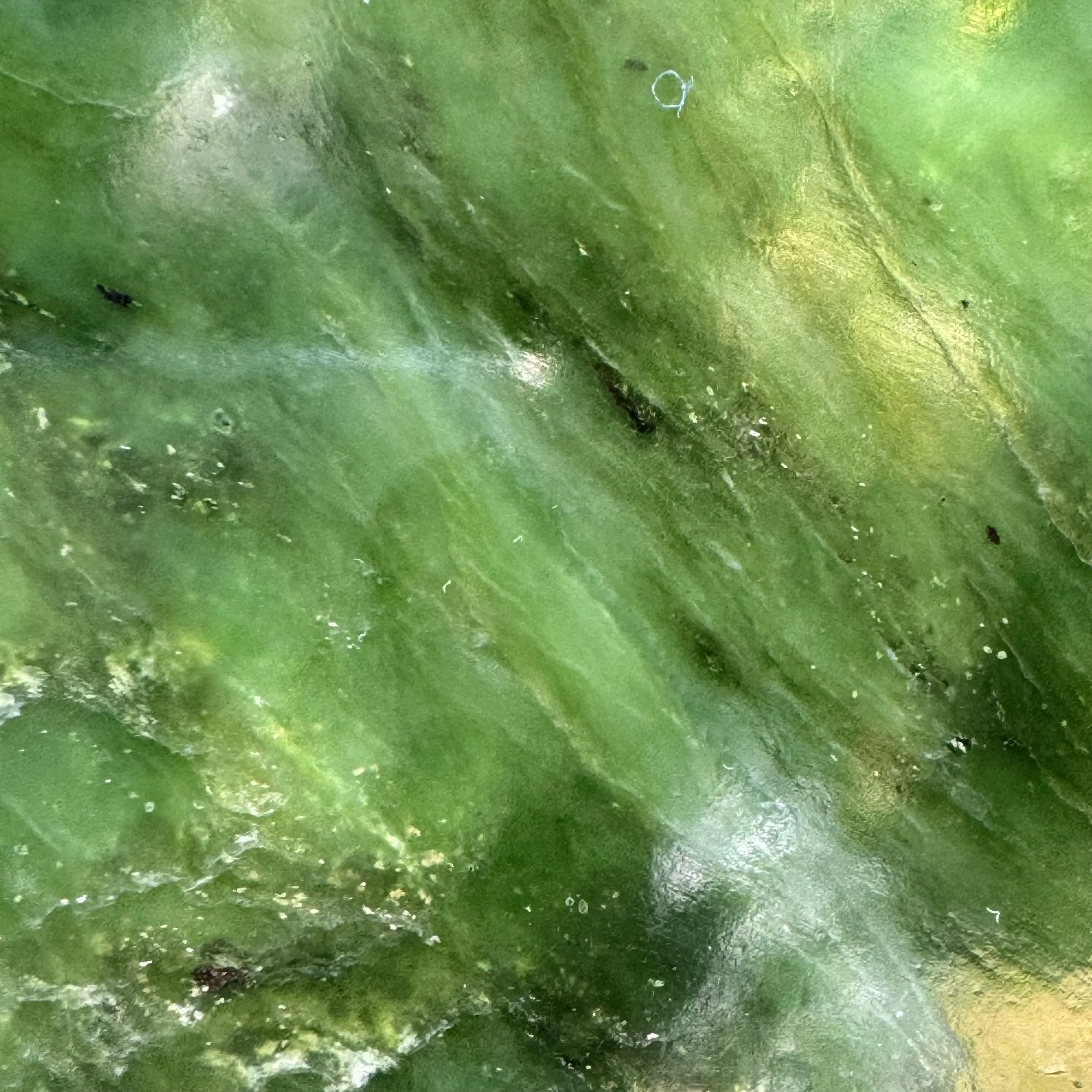 jademastervancouver.com