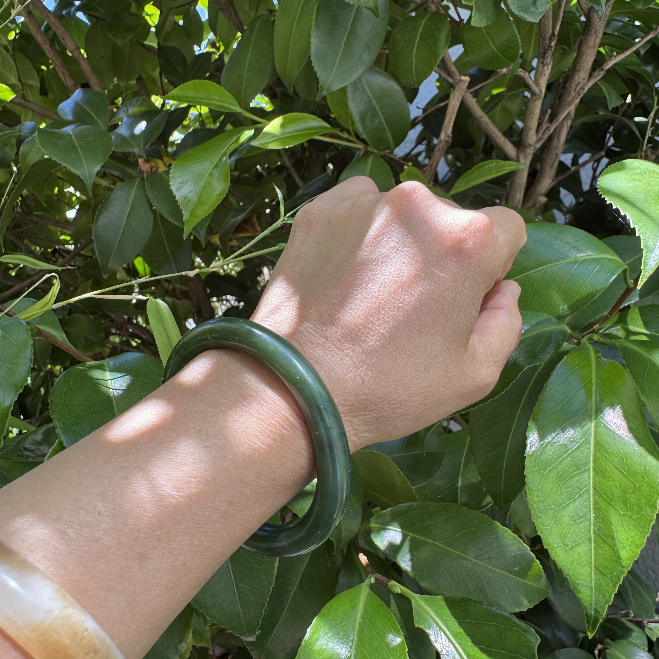 Canadian jade-jademastervancouver.com