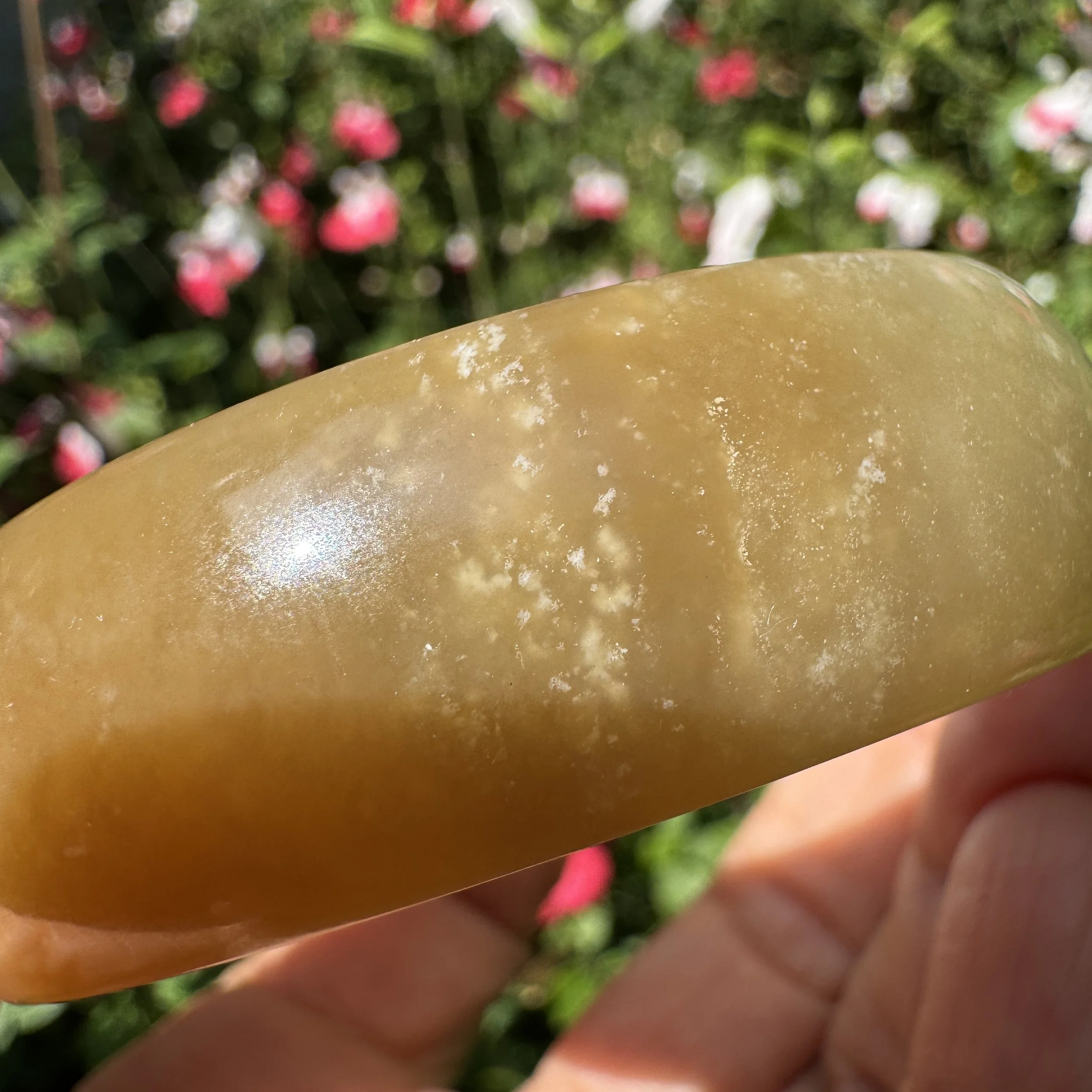 Sugar jade-jademastervancouver.com