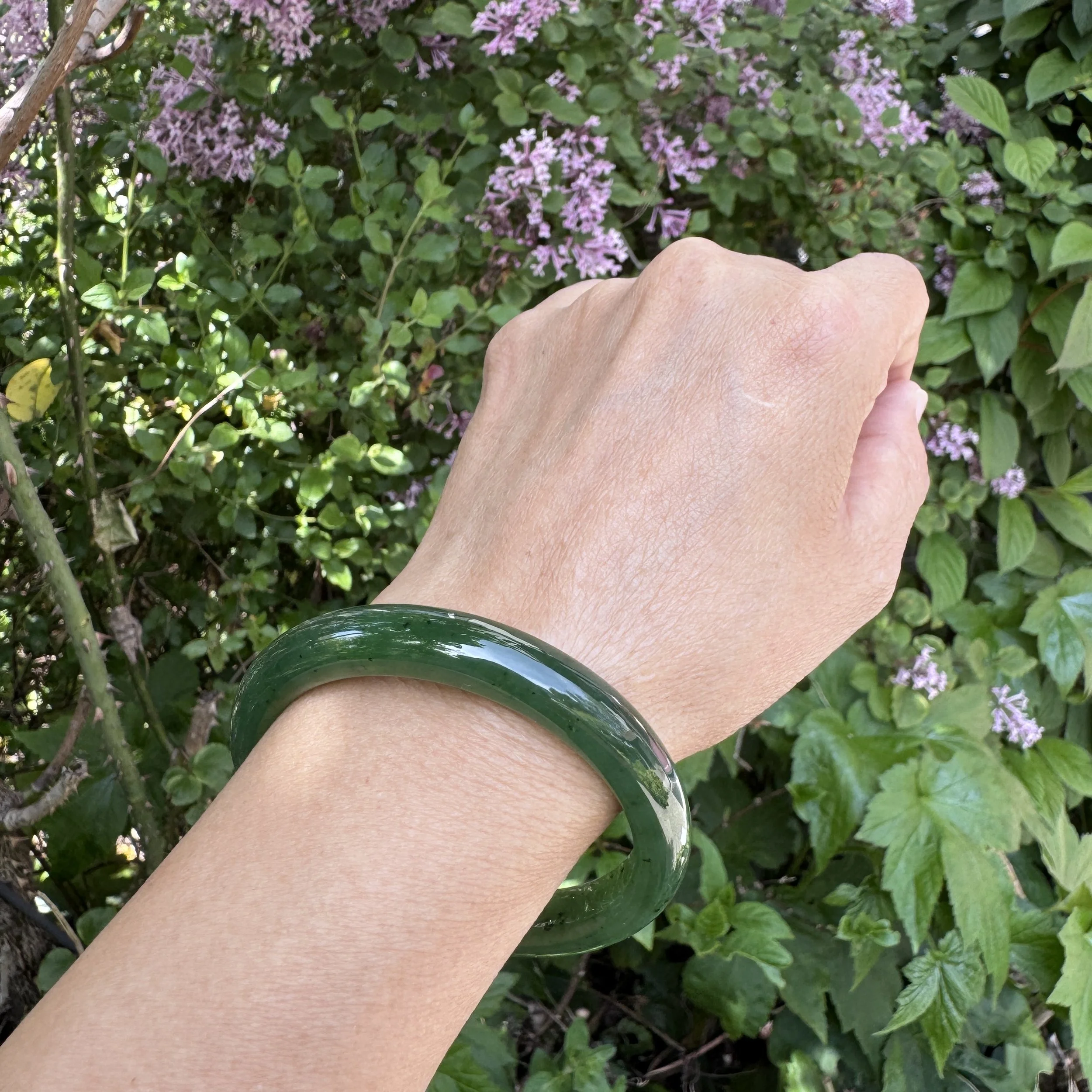 jademastervancouver.com