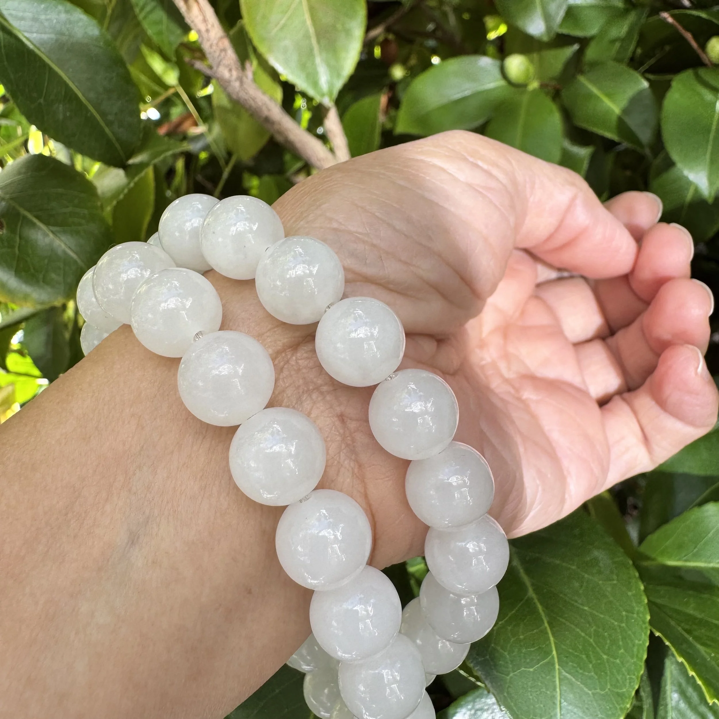 jademastervancouver.com