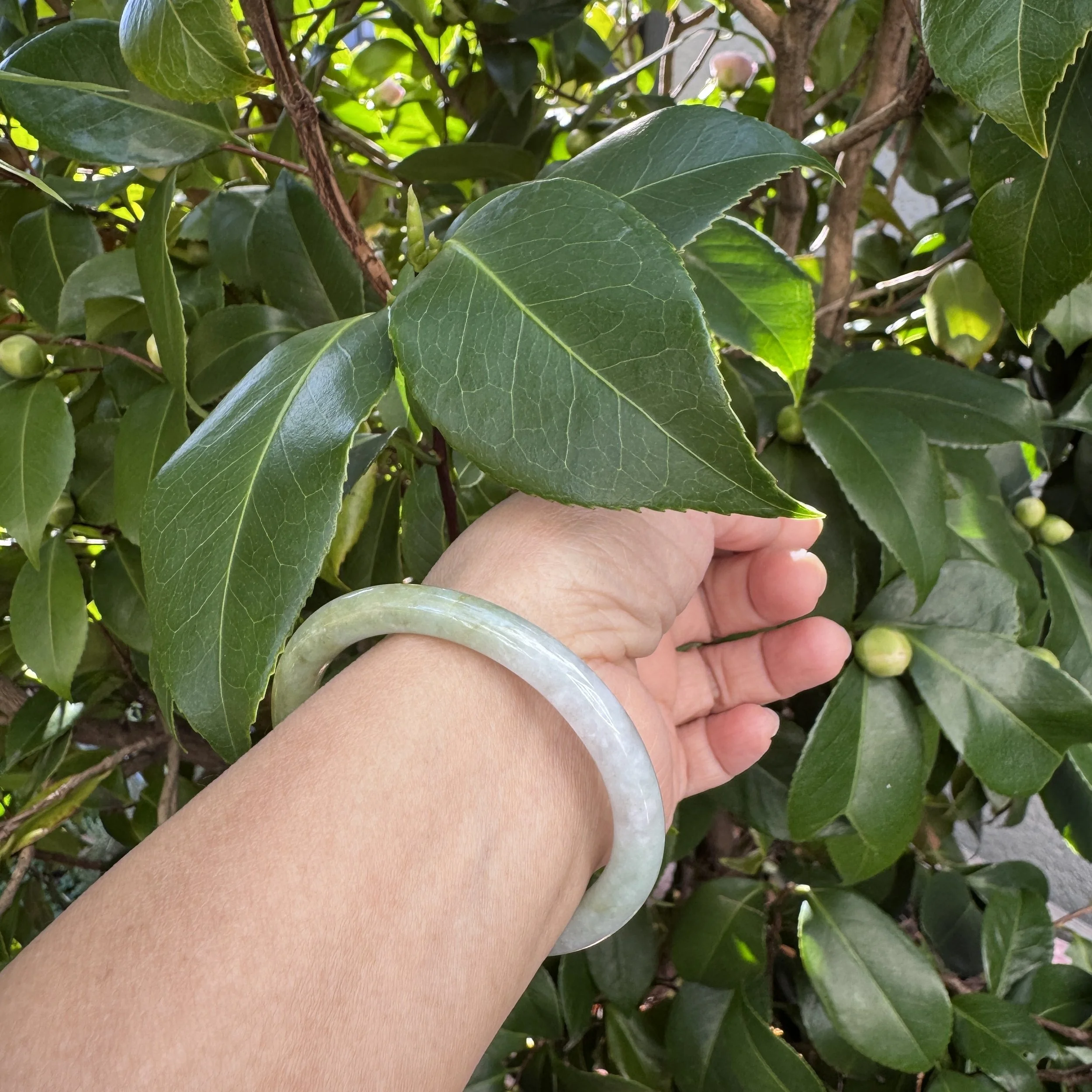 jademastervancouver.com