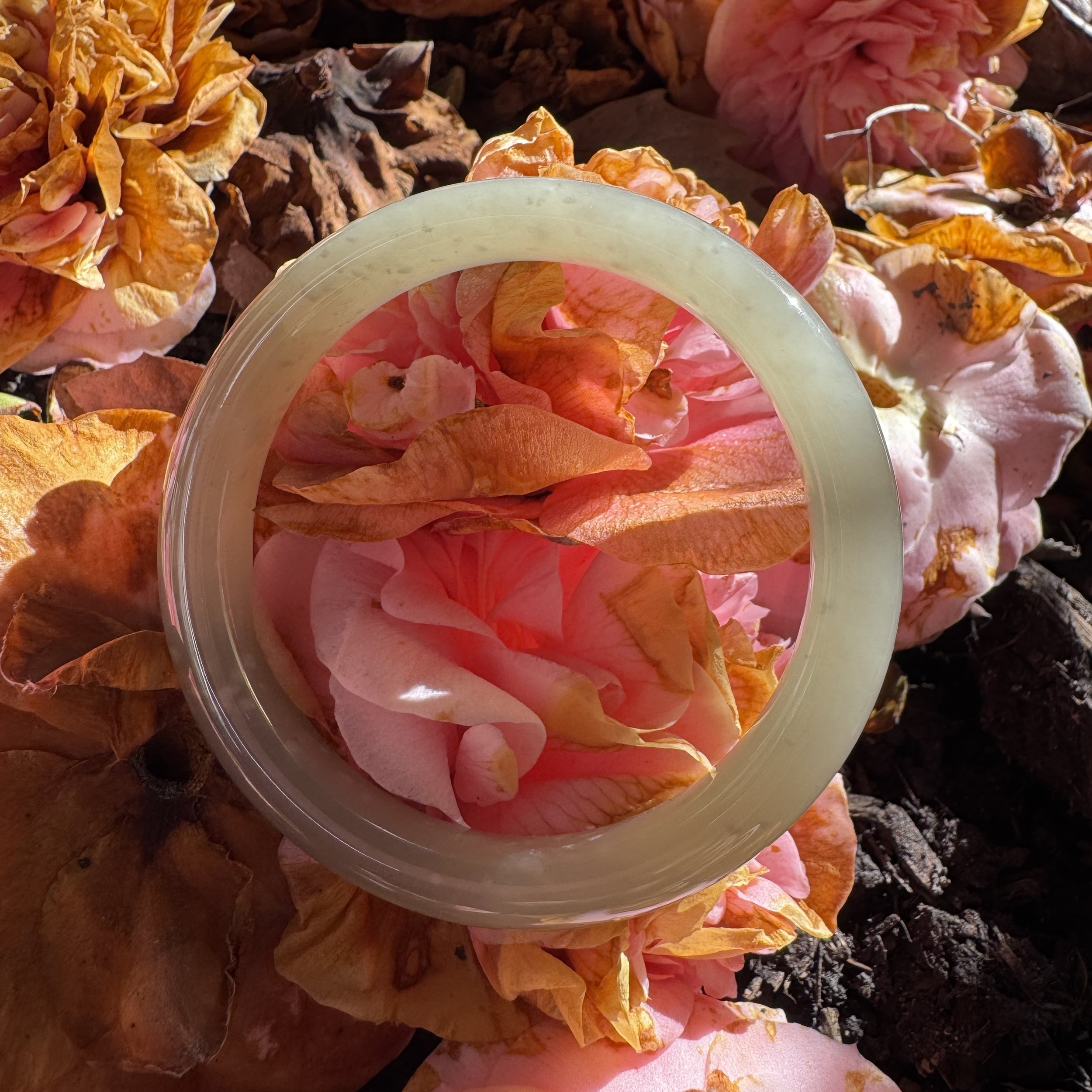 jademastervancouver.com