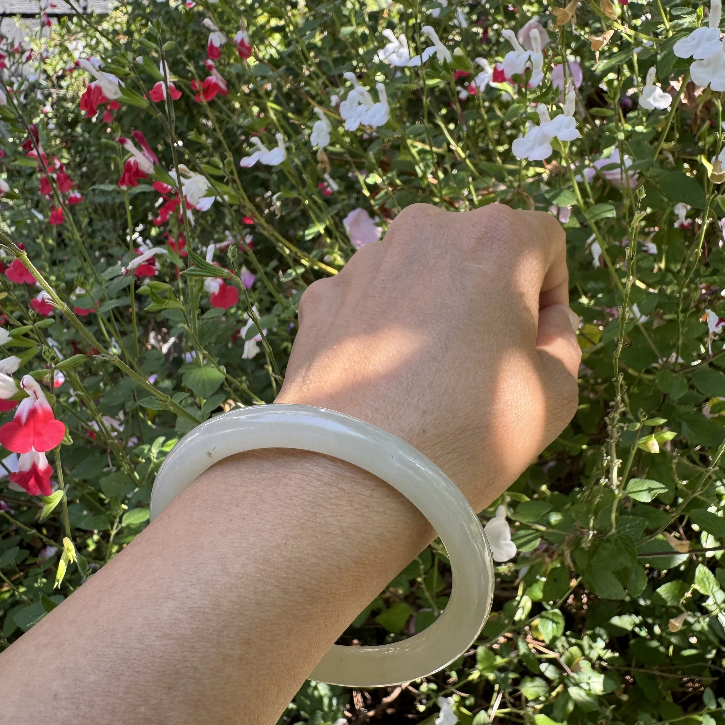 Xinjiang Hetian jade-jademastervancouver.com