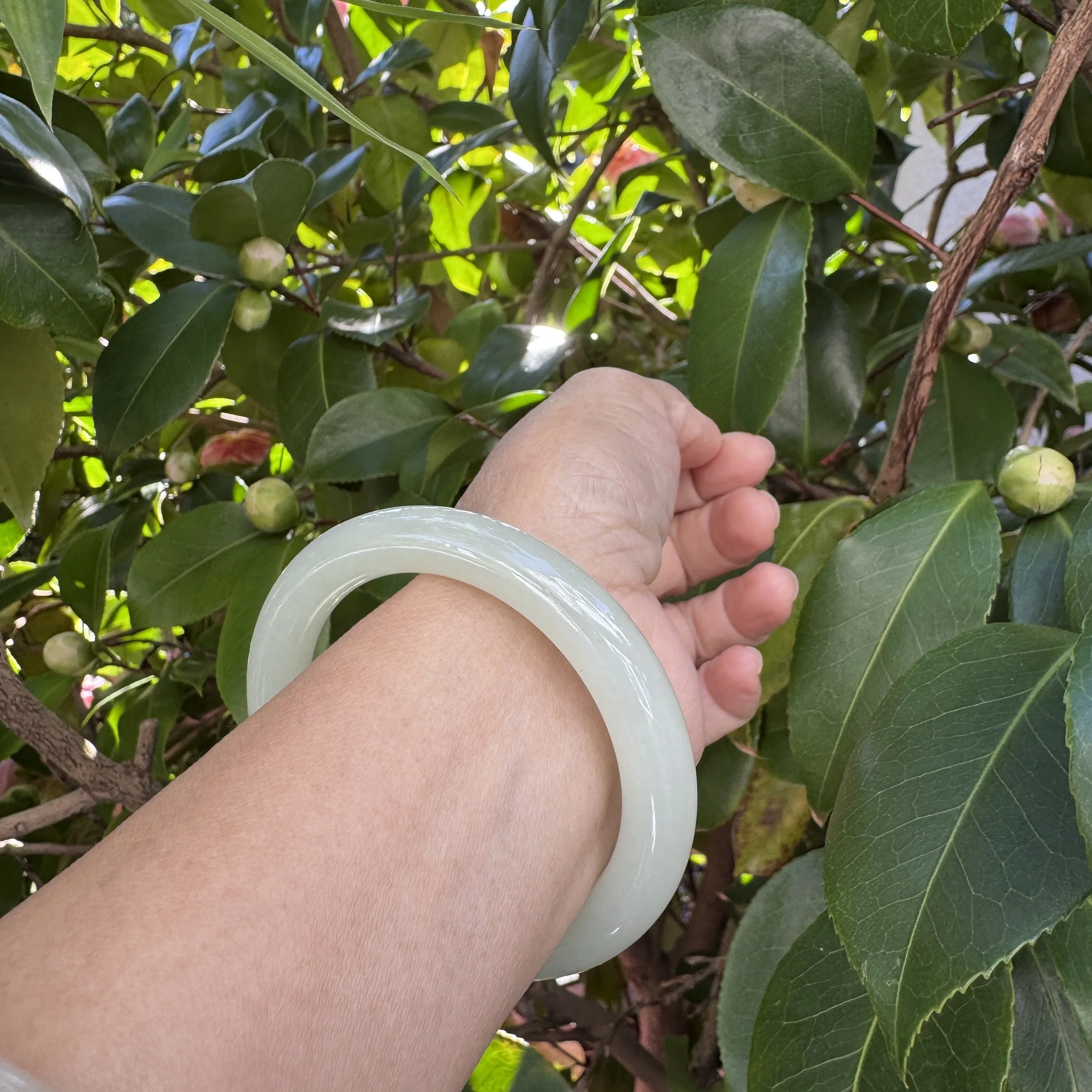 jademastervancouver.com