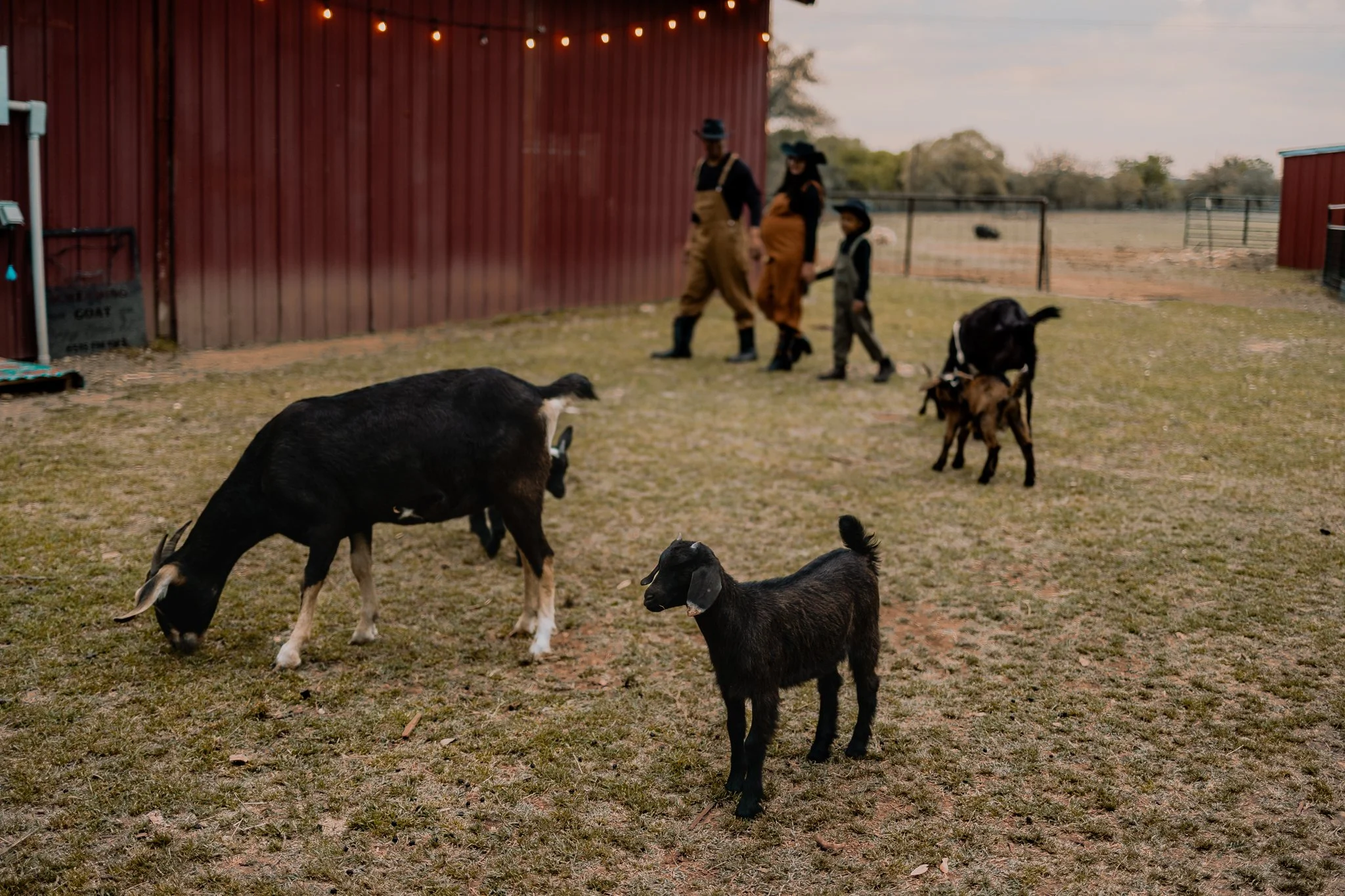 Austin Maternity Photographer | Documentary-Style Pregnancy Portraits
