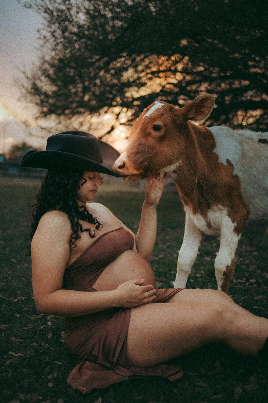 Highland Cow Maternity Session