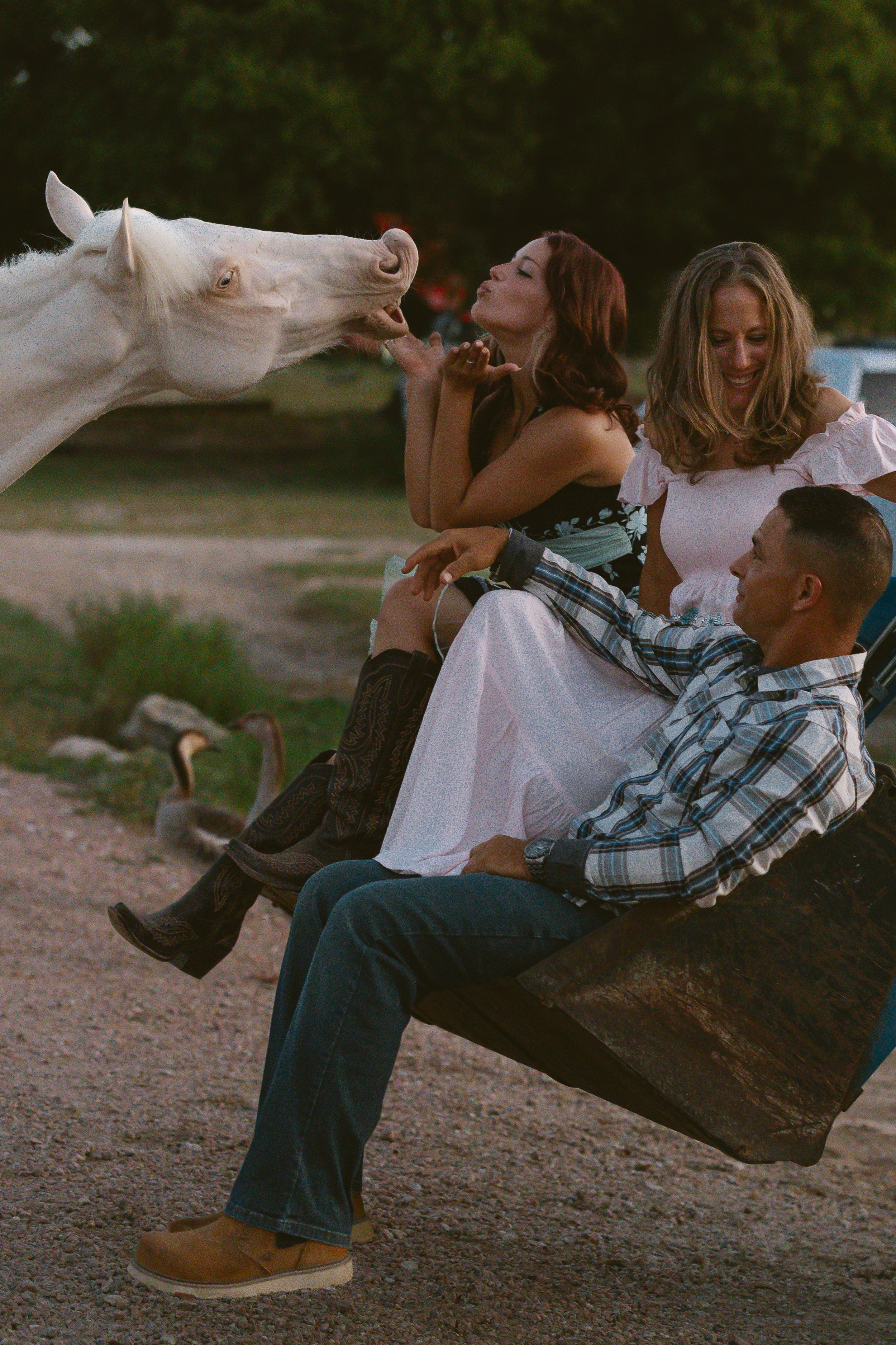 A family sitting on their tractor enjoying their horses