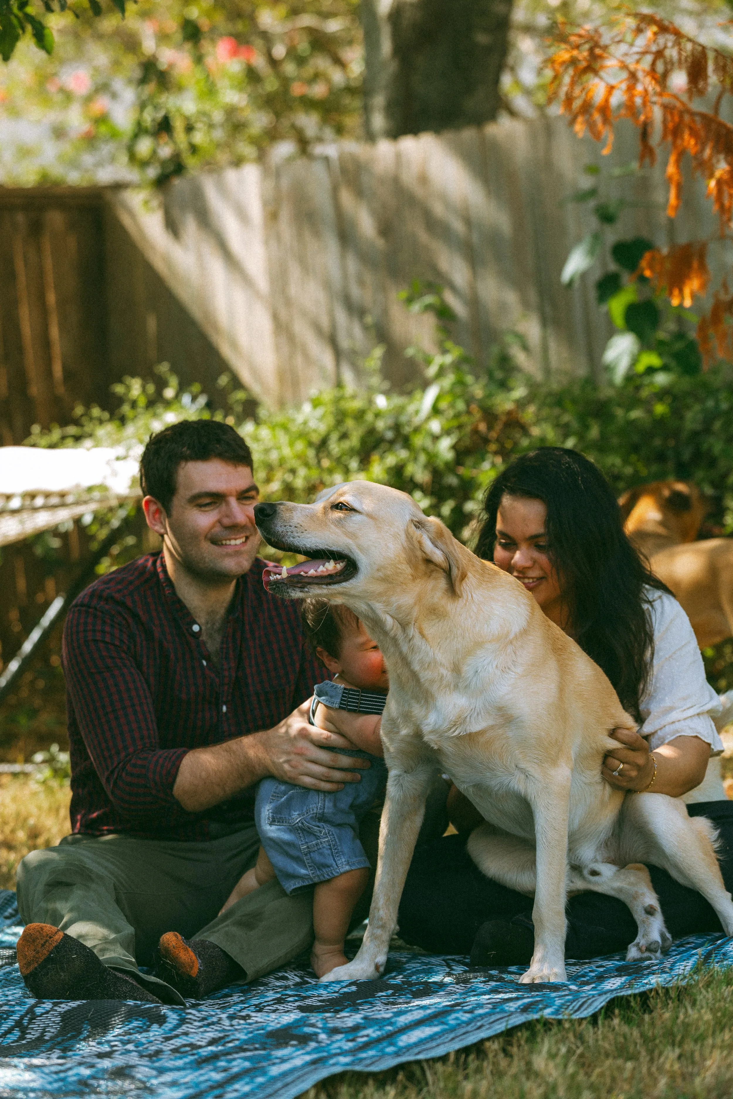 Candid family moment during a documentary family photography session