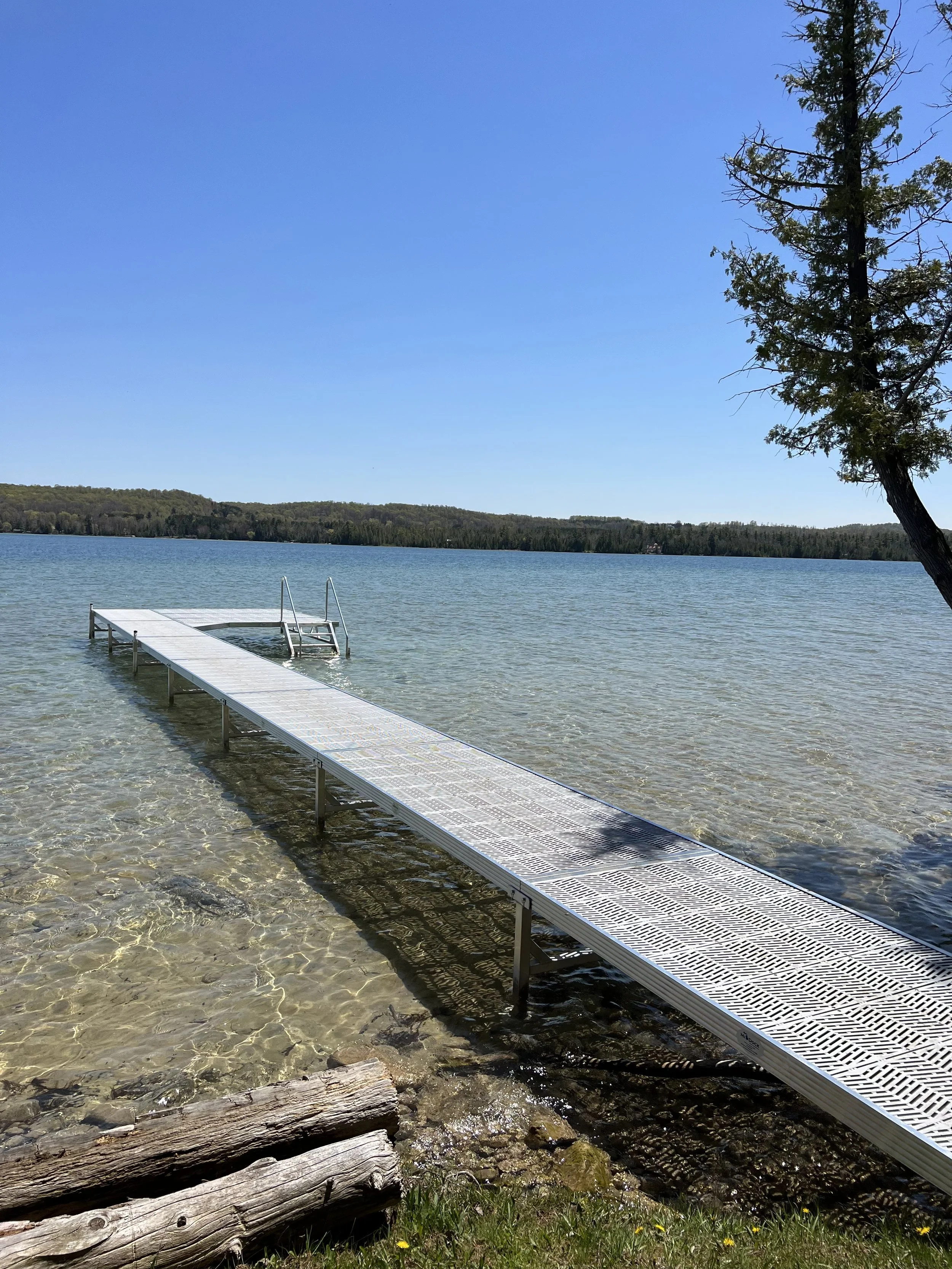 A metal dock extending into a clear lake, with a ladder at the end, surrounded by rocks and grass, with a large tree on the right and a forested shoreline in the distance under a bright blue sky.