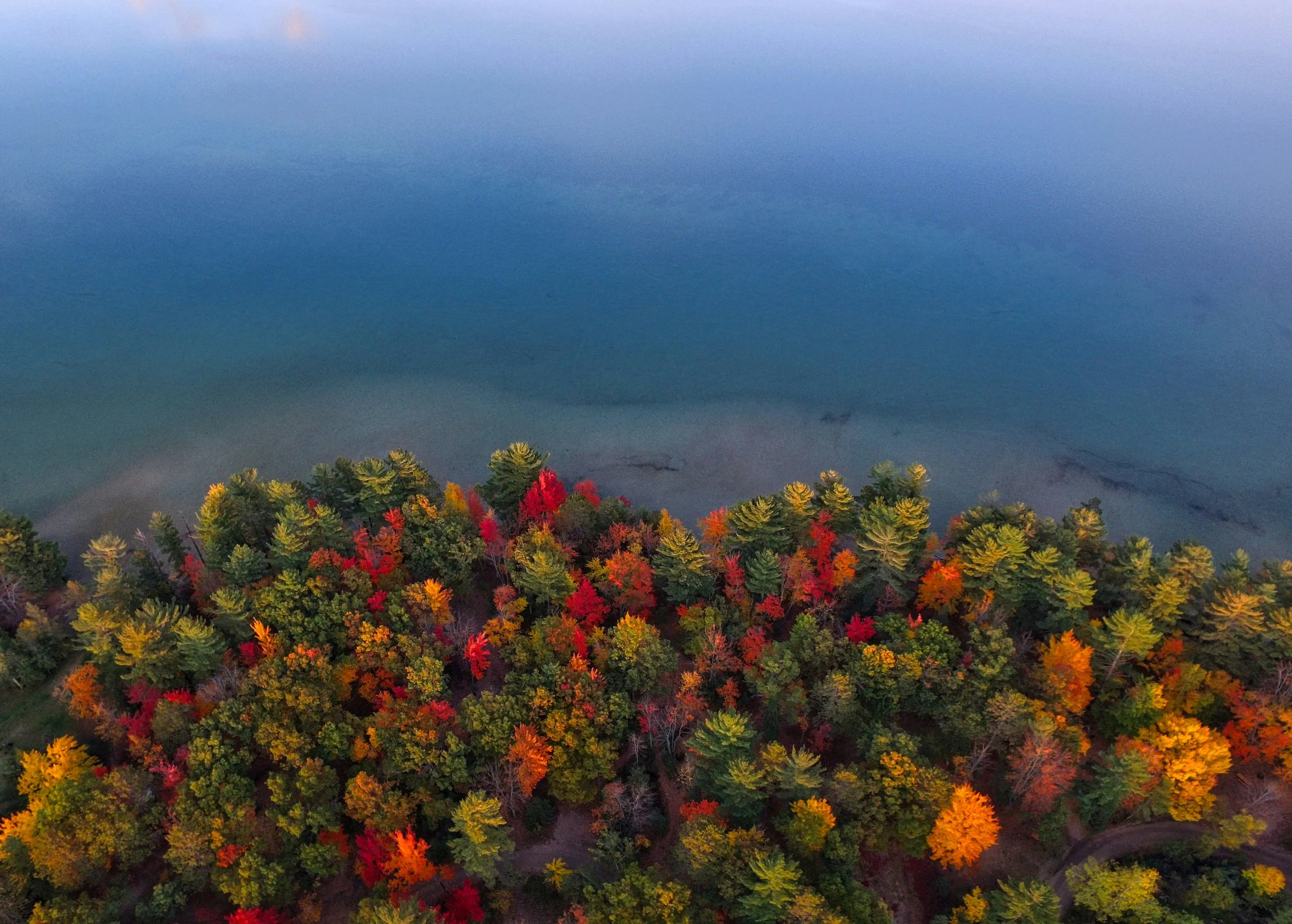 Fall in Traverse City: Peak Colors, Wineries, and Cozy Stays