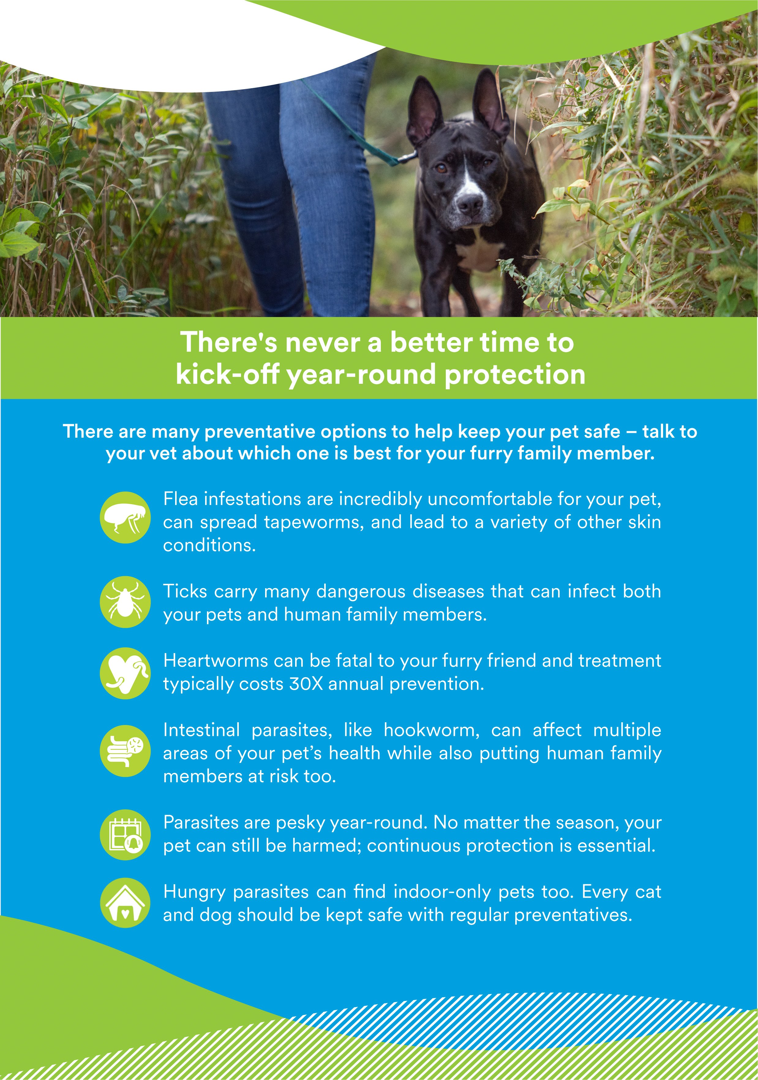 Parasiticides-Informational-Hand-Out-01.jpg