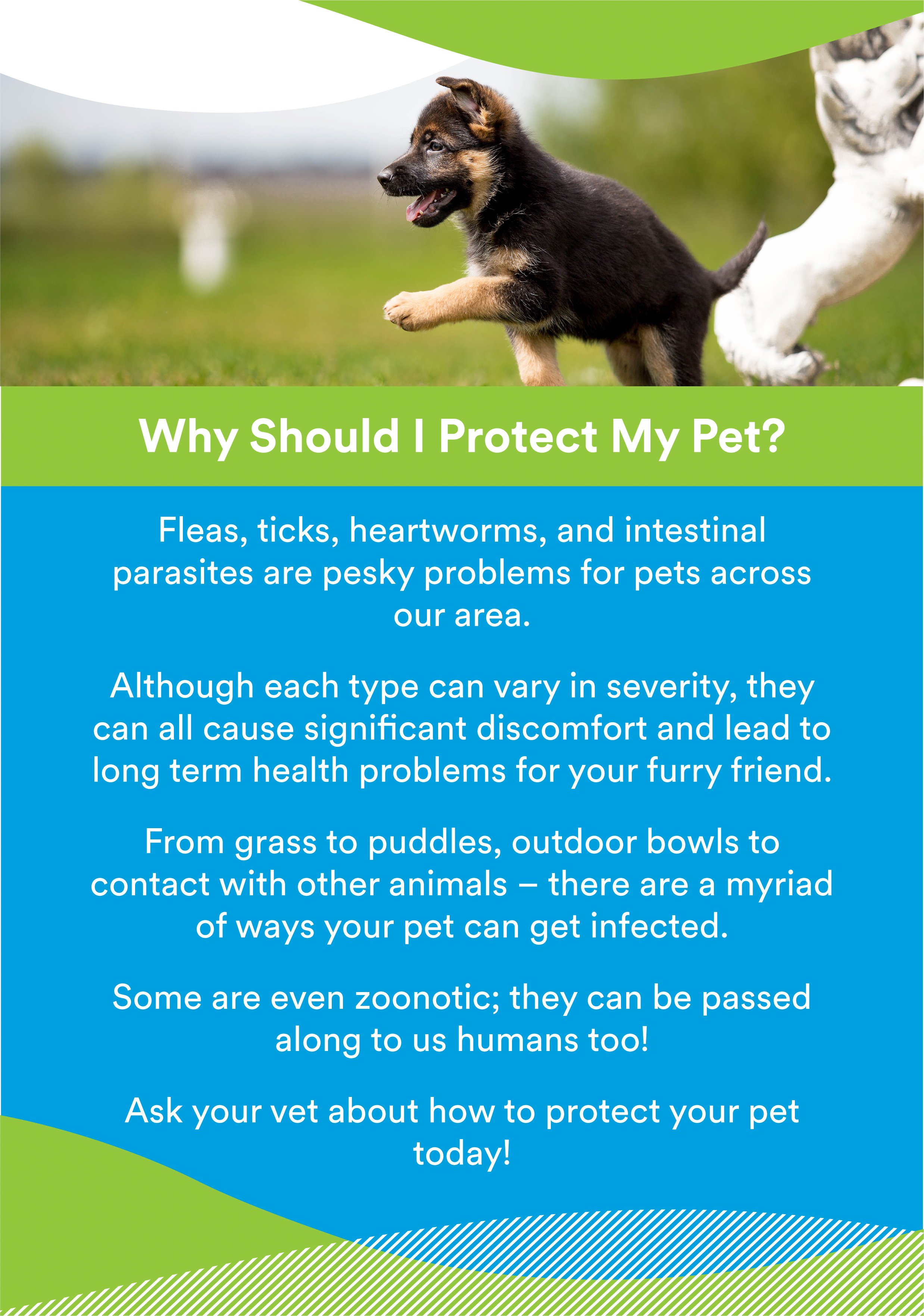 Parasiticides-Informational-Hand-Out-02.jpg