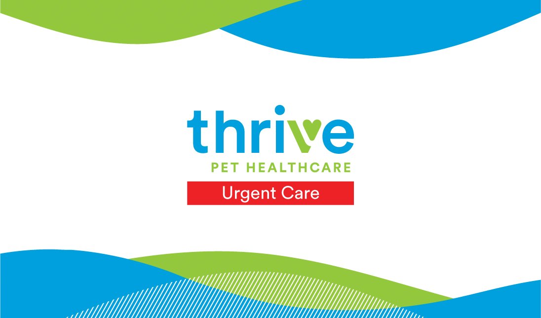 THRIVE-PHC-Support-Business-Cards-Template-01.jpg