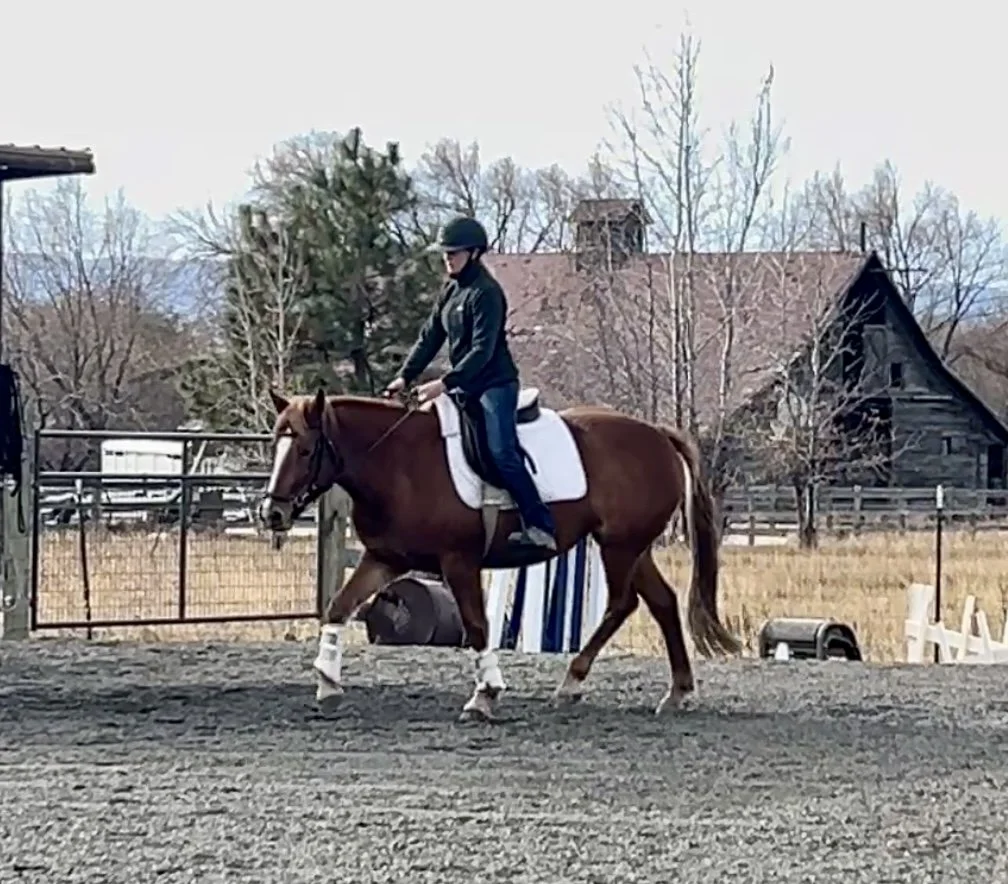 Equitation is the Foundation