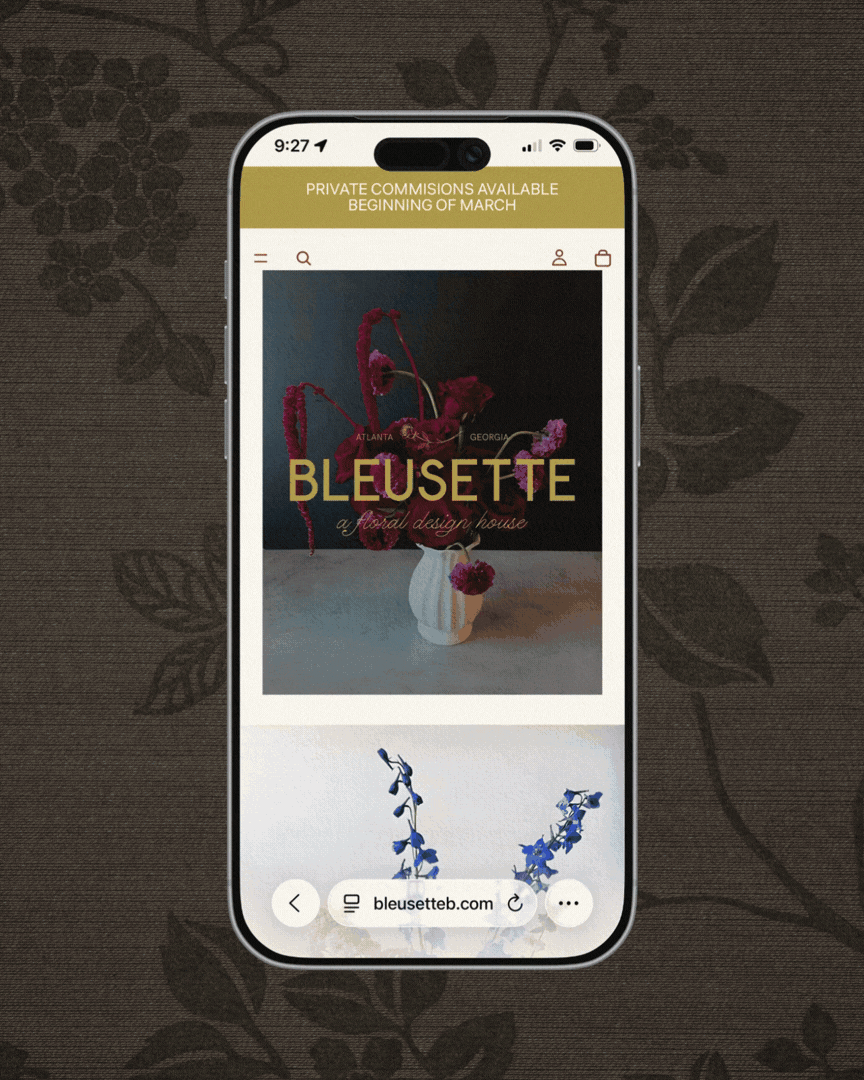 BRAND REVEAL Bleusette.gif