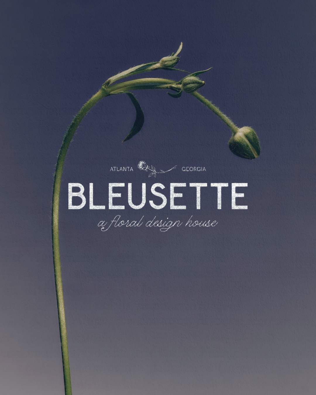 BLEUSETTE