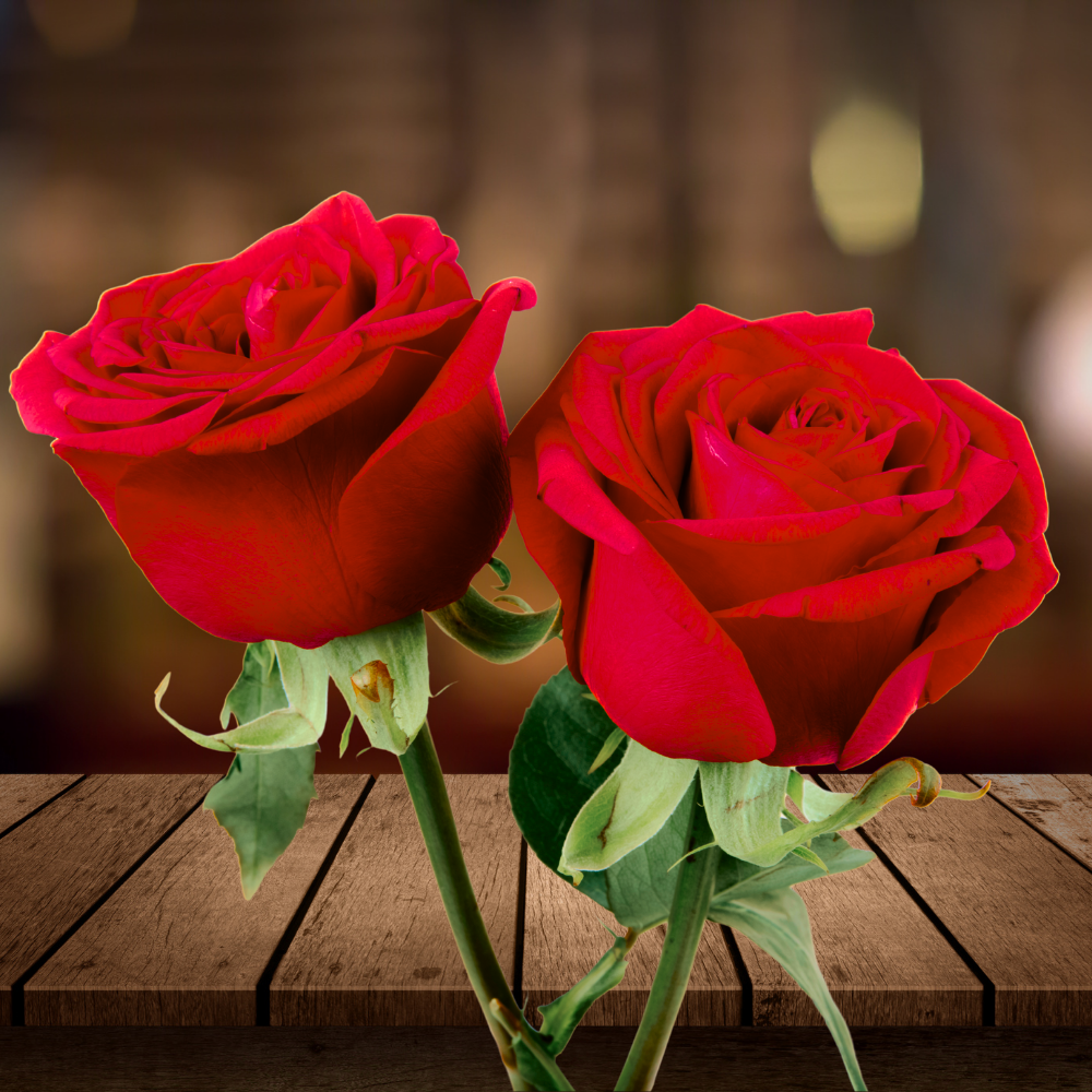 Rogue Valley Symphony Masterworks IV