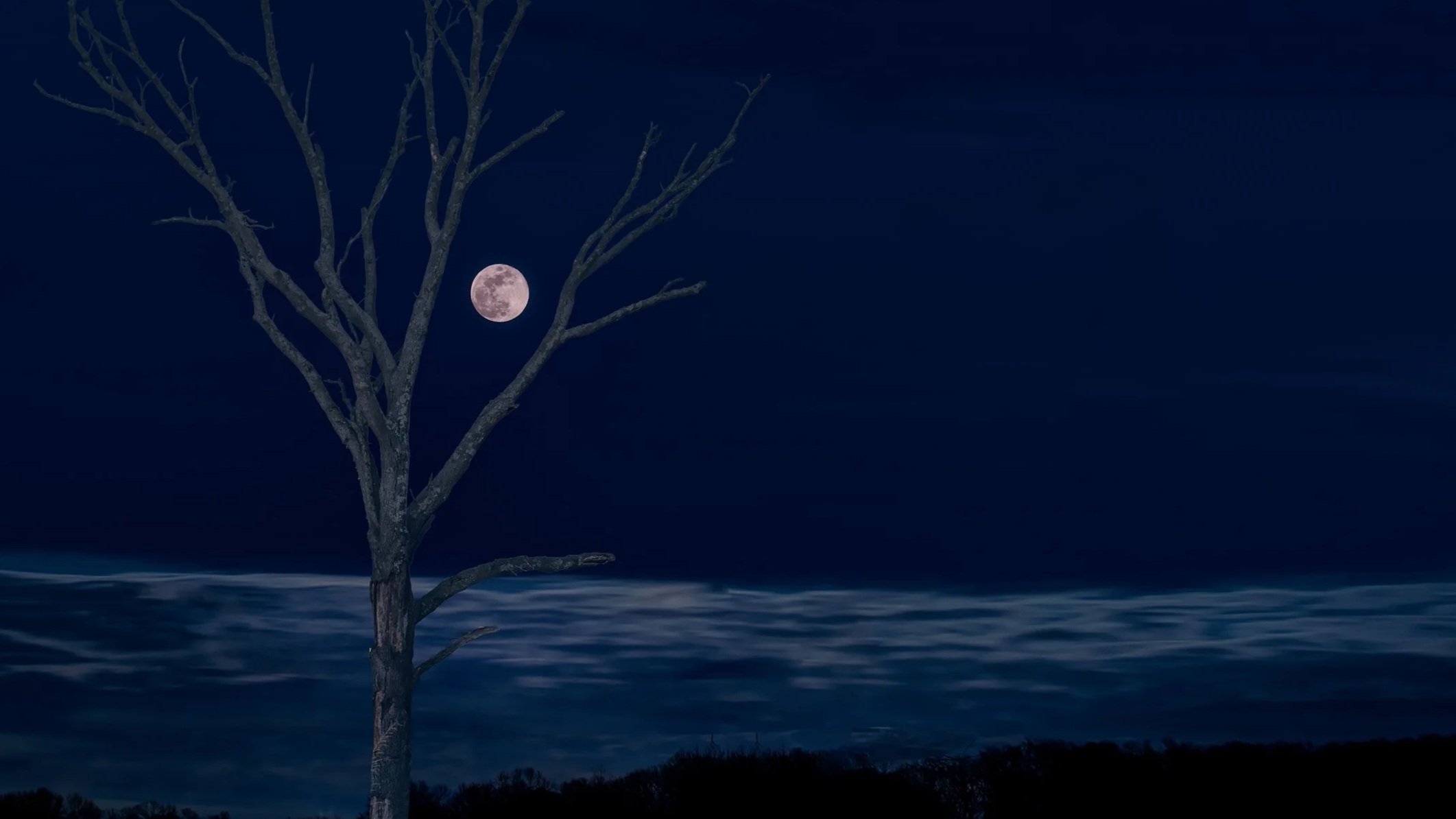 Held by the Snow Moon