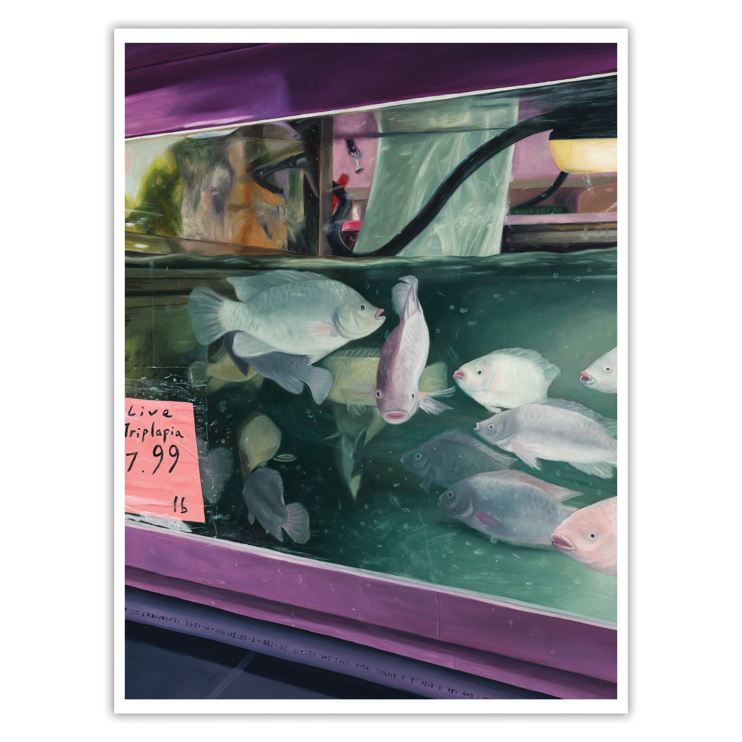 "Live Triplapia" Fine Art Print