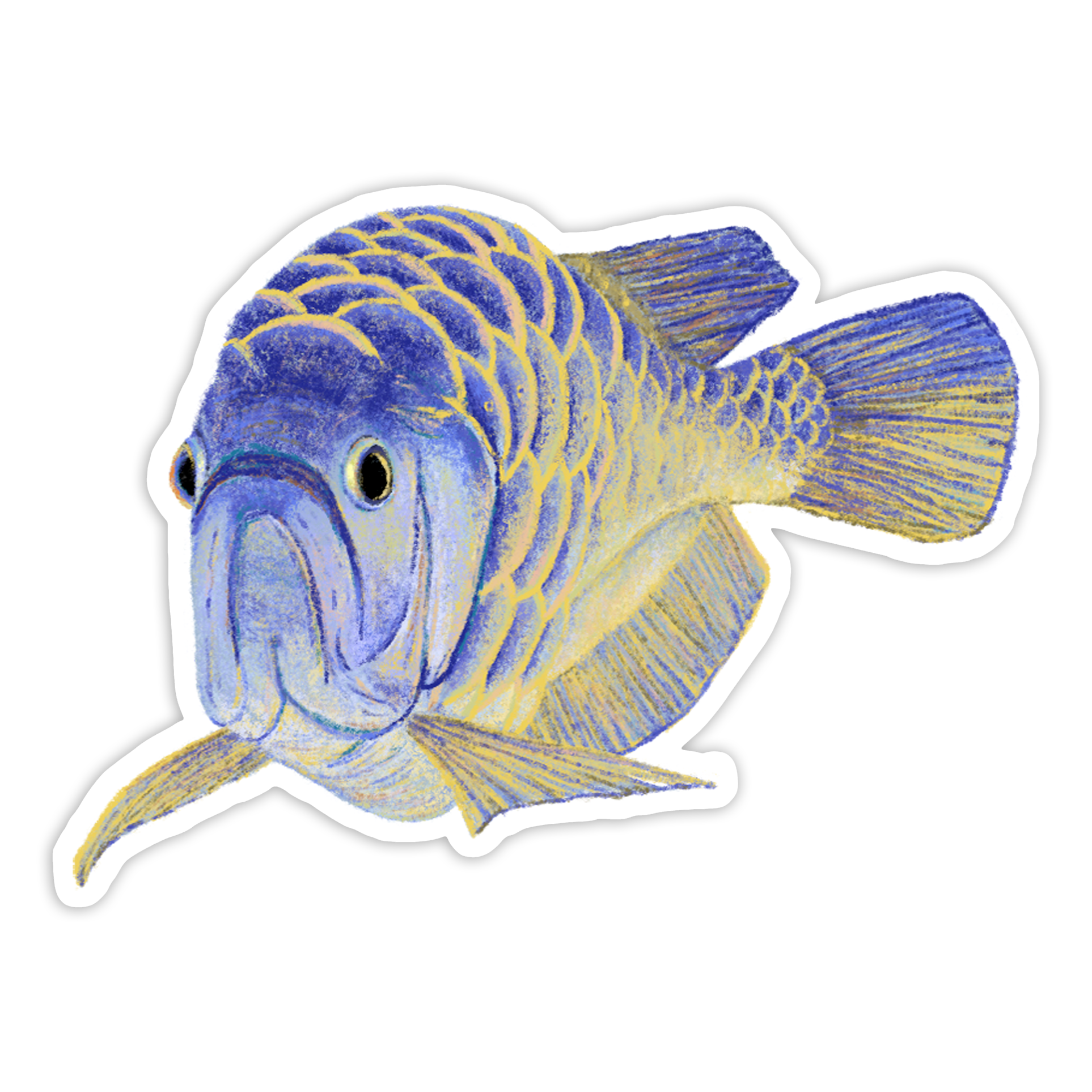Golden Crossback Arowana Sticker