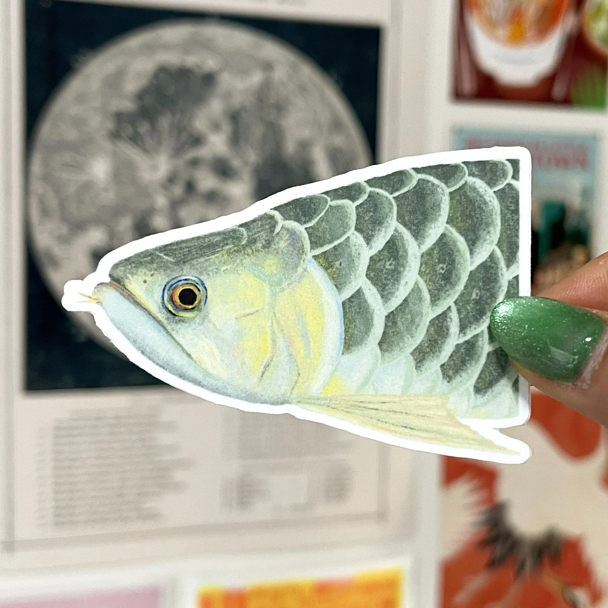 arowana.jpg