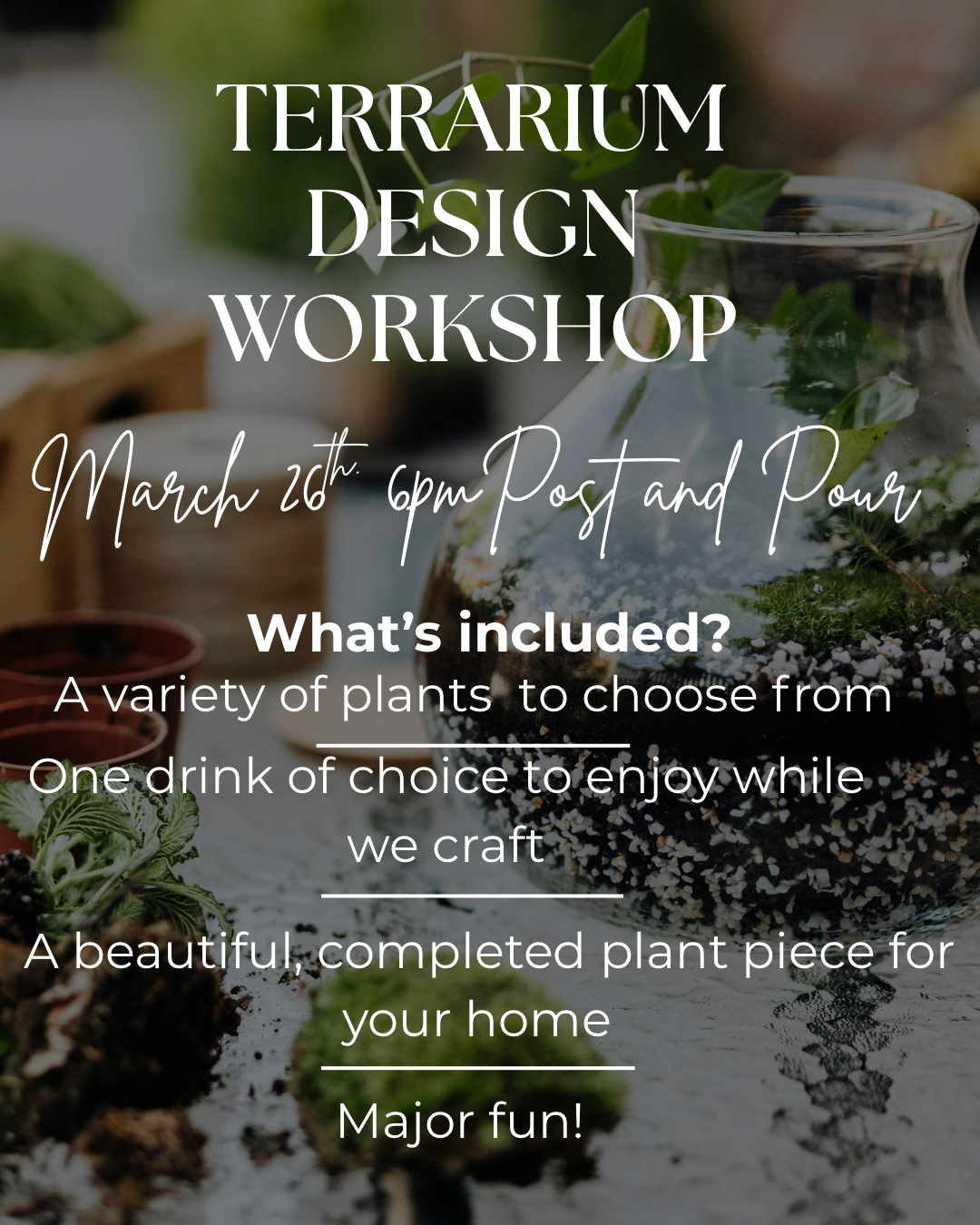 Terrarium Design Workshop