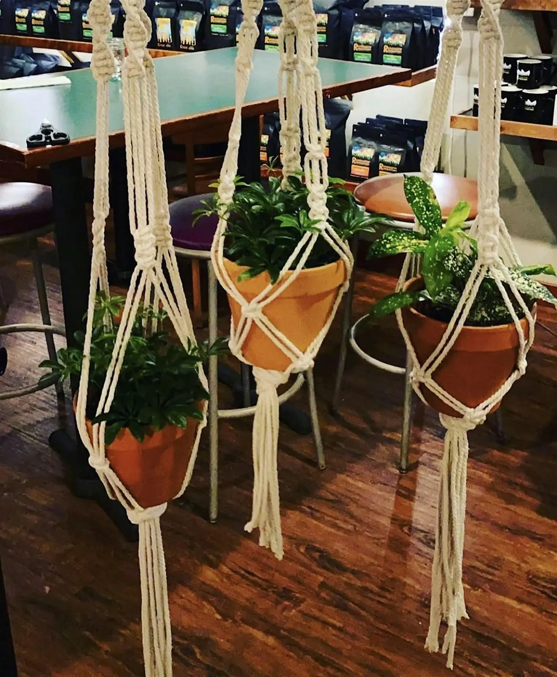 Macrame Plant Hangers with Macrame & Chardonnay