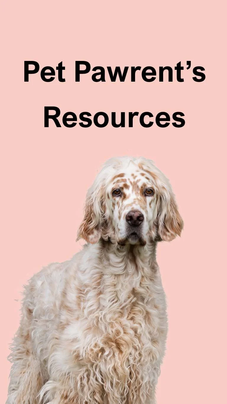 Image of a booklet that is coloured pink with photo of white spotted dog on the front and words in black that say Pet Pawrent's Resources